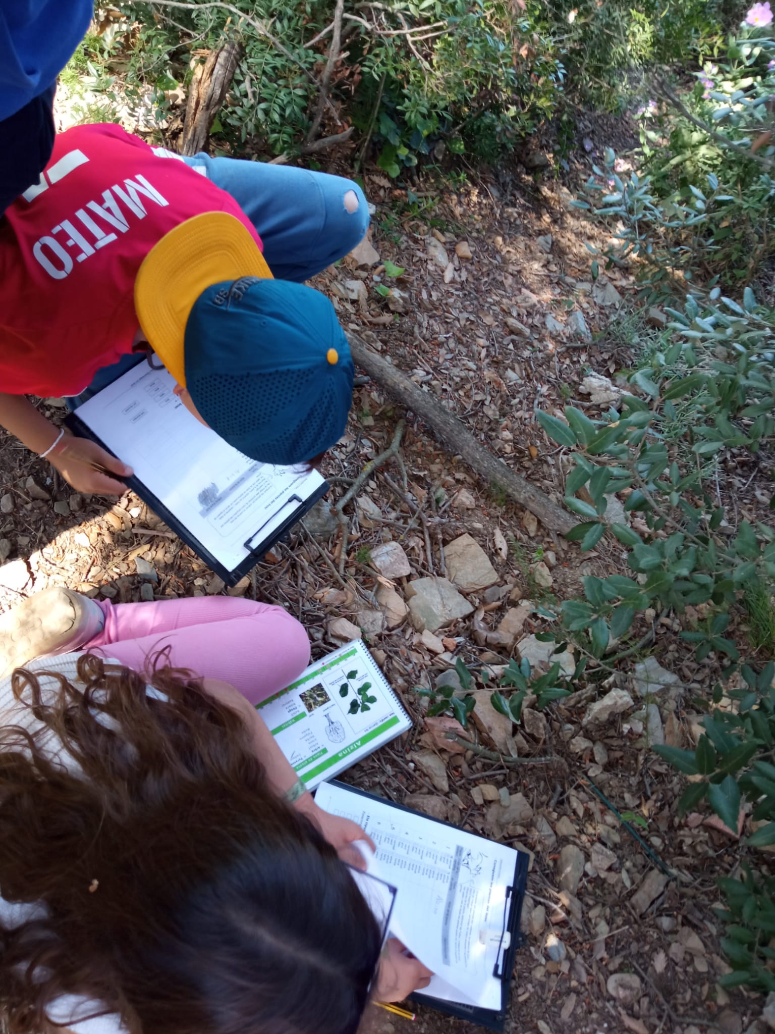 WhatsApp Image 2026-04-08 at 15.28.39 (2)