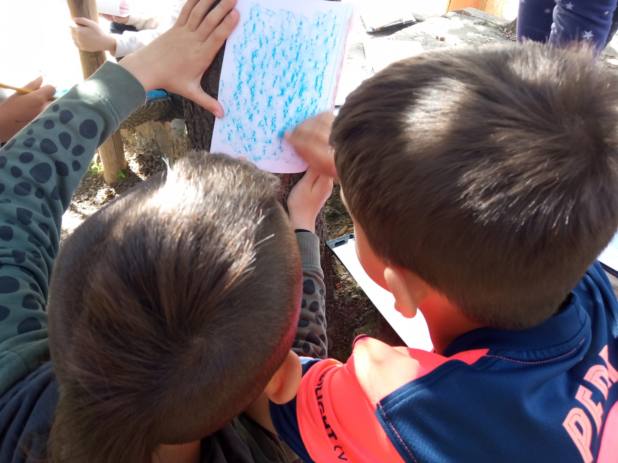 WhatsApp Image 2026-04-08 at 15.28.39