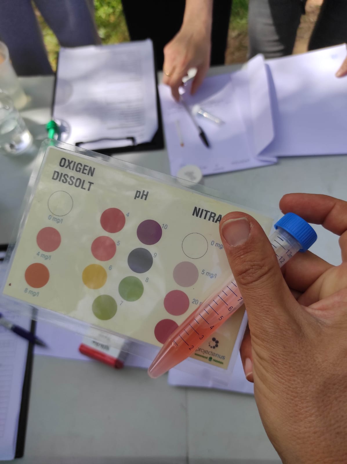 WhatsApp Image 2026-04-10 at 16.11.34 (12)