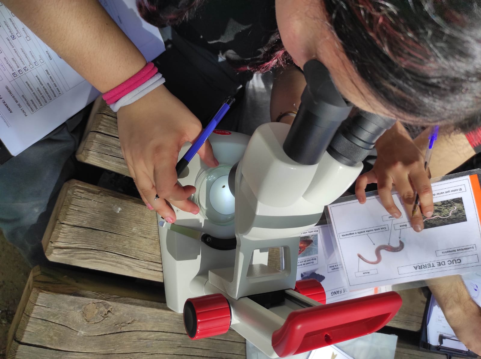 WhatsApp Image 2026-04-10 at 16.11.34 (14)