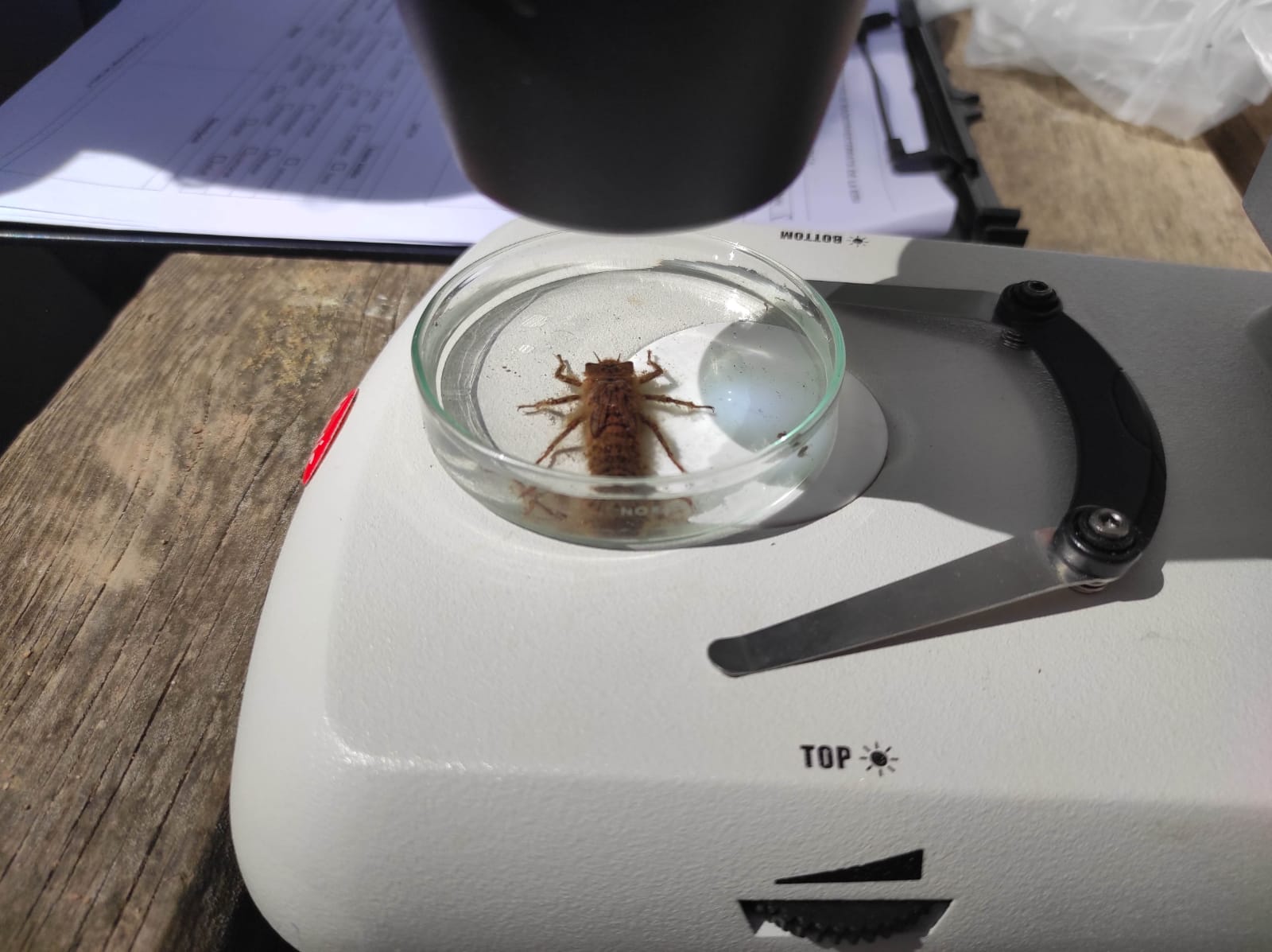 WhatsApp Image 2026-04-10 at 16.11.34 (15)