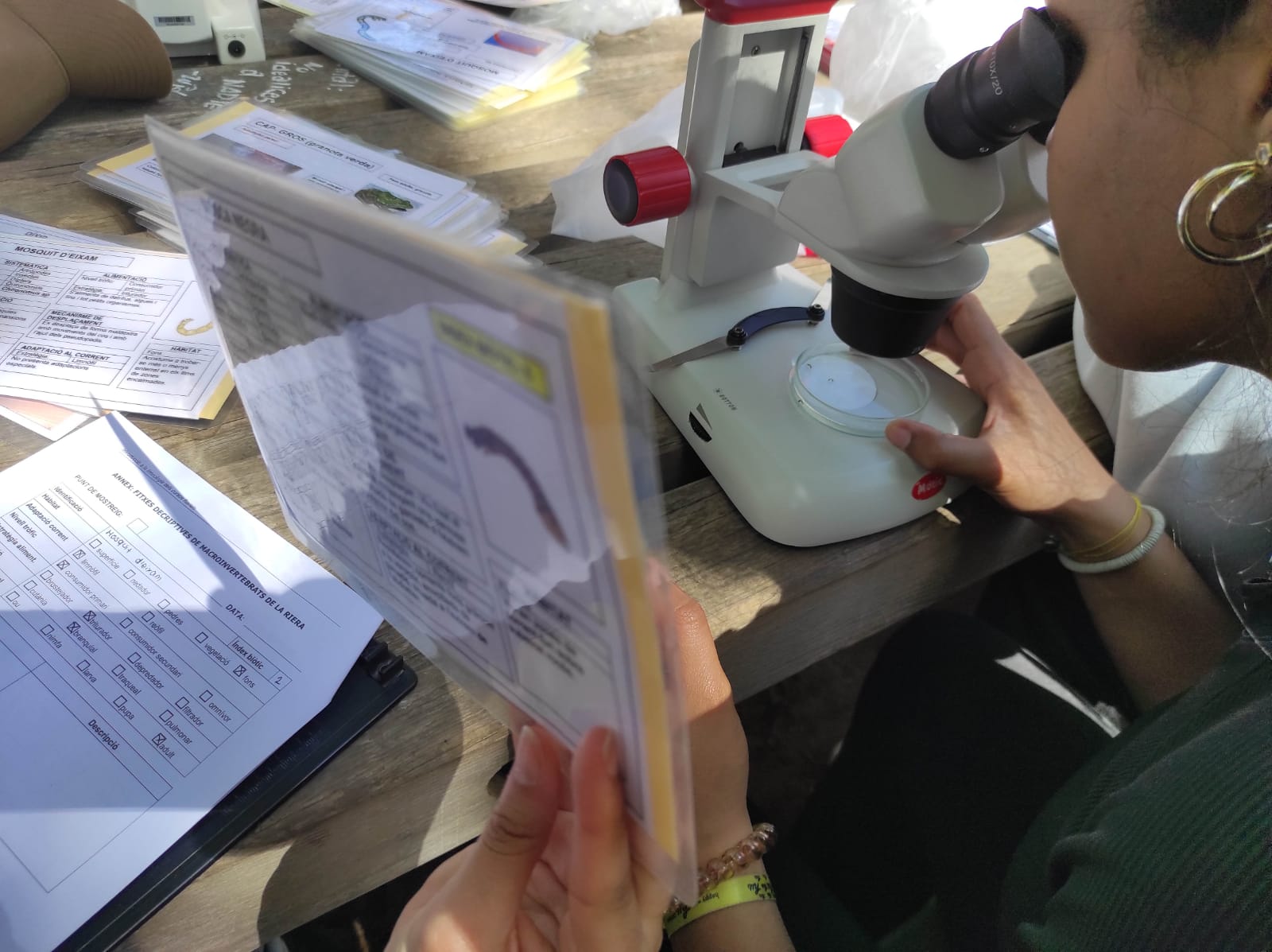 WhatsApp Image 2026-04-10 at 16.11.34 (16)