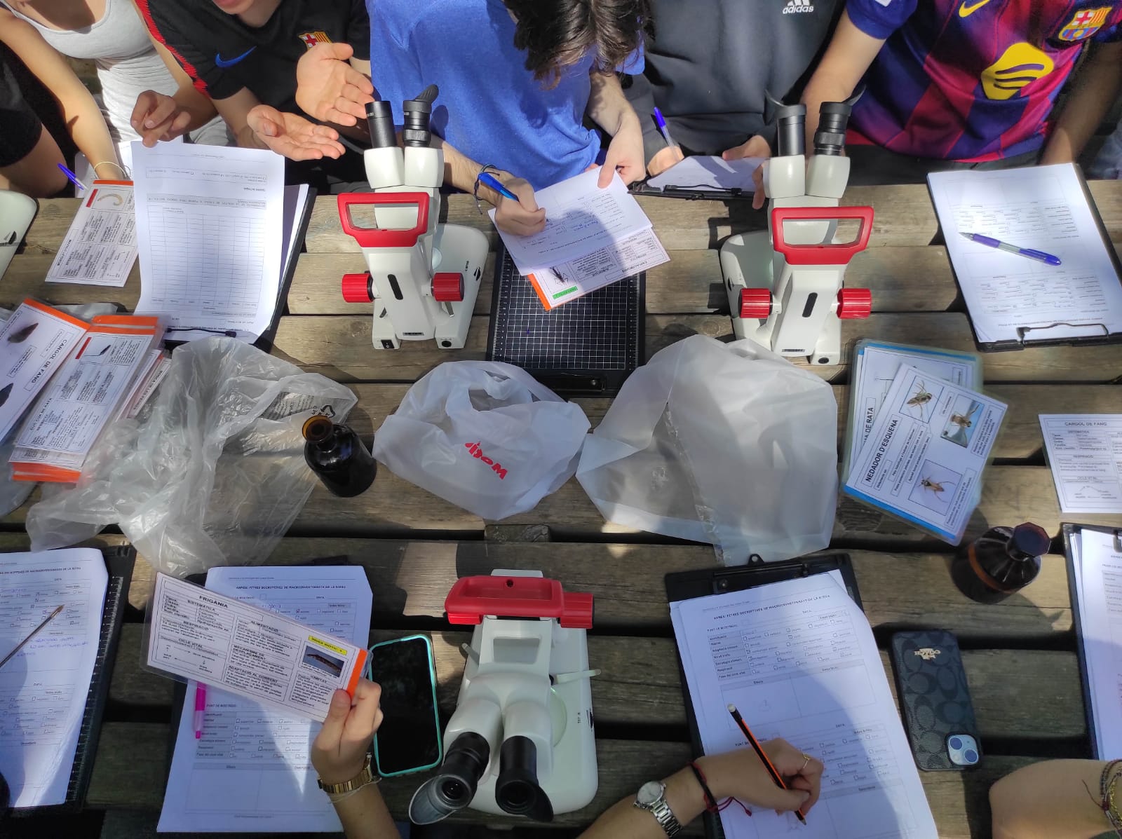 WhatsApp Image 2026-04-10 at 16.11.34 (17)