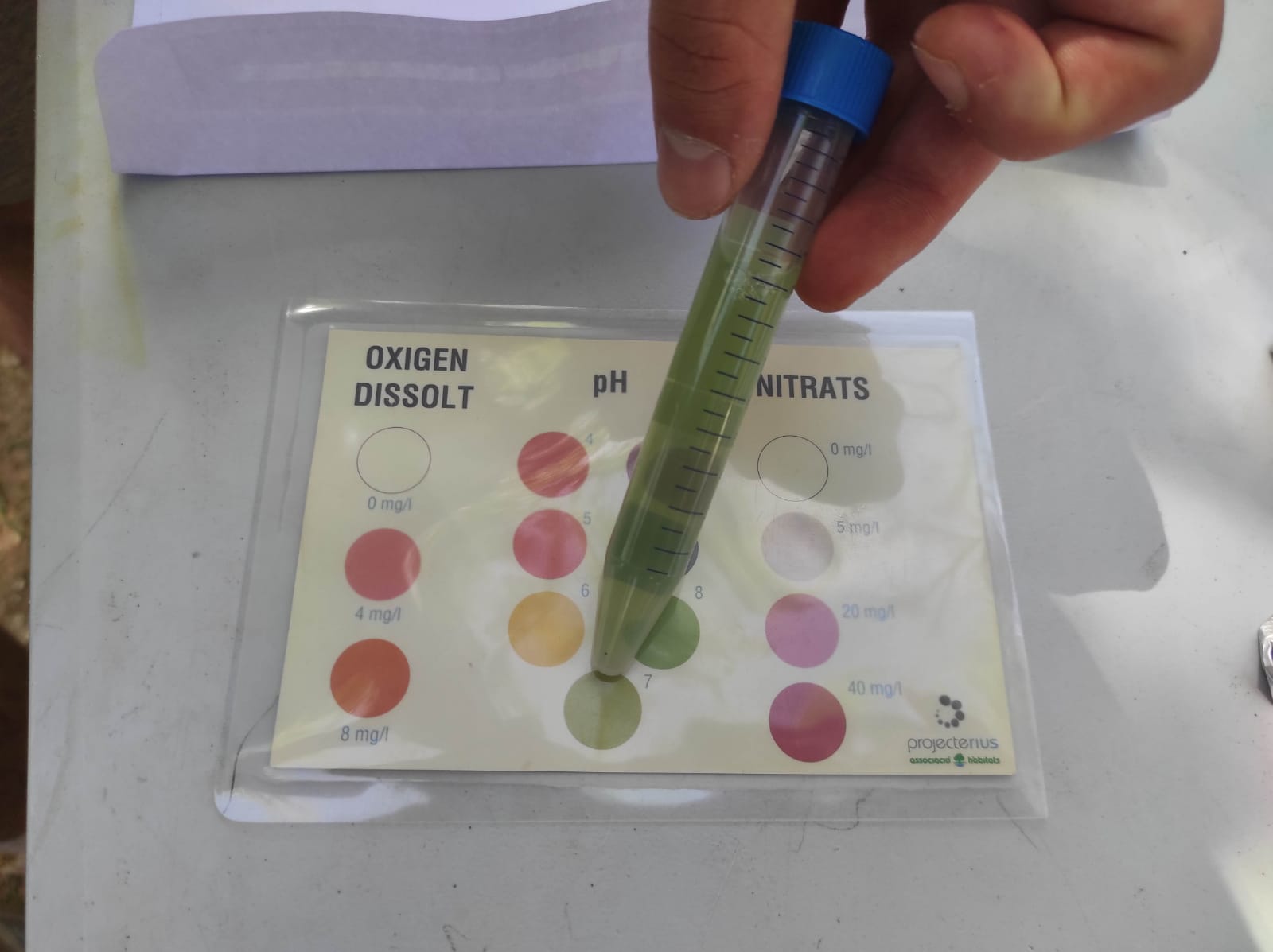 WhatsApp Image 2026-04-10 at 16.11.34 (2)