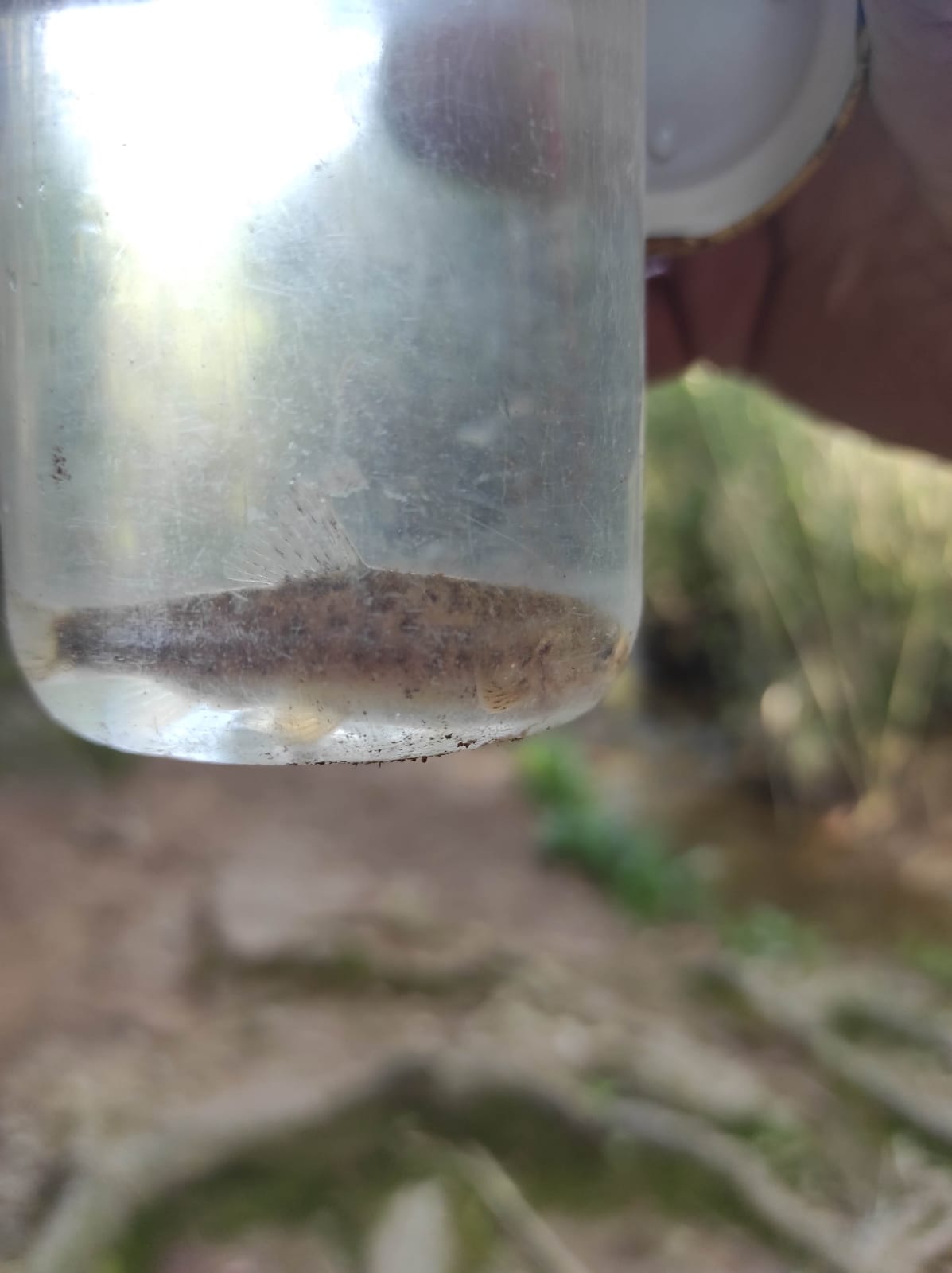 WhatsApp Image 2026-04-10 at 16.11.34 (5)