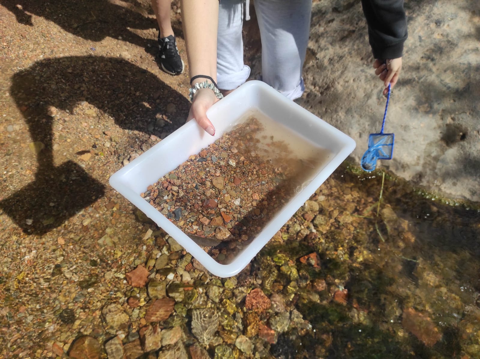 WhatsApp Image 2026-04-10 at 16.11.34 (6)