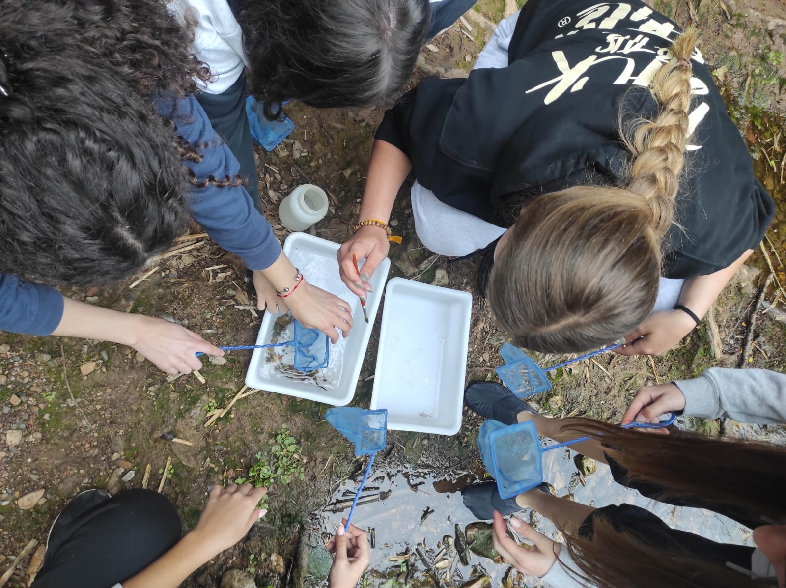 WhatsApp Image 2026-04-10 at 16.11.34 (7)