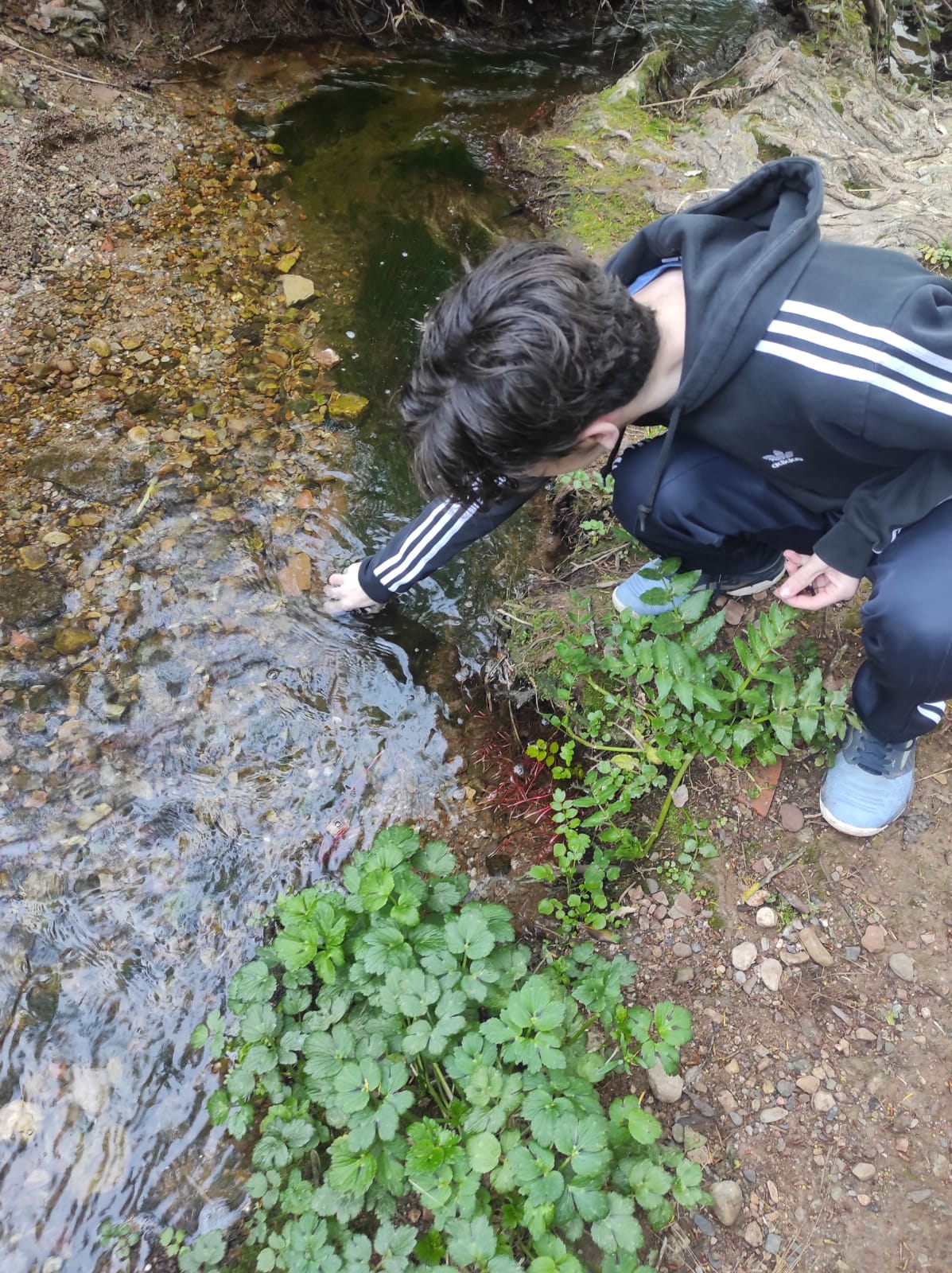 WhatsApp Image 2026-04-10 at 16.11.34 (8)