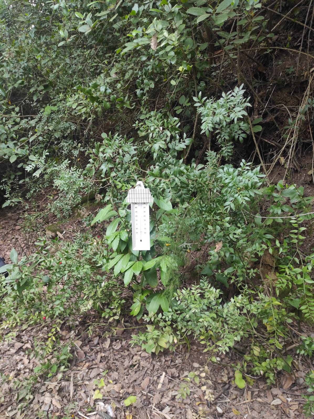 WhatsApp Image 2026-04-10 at 16.11.35 (3)