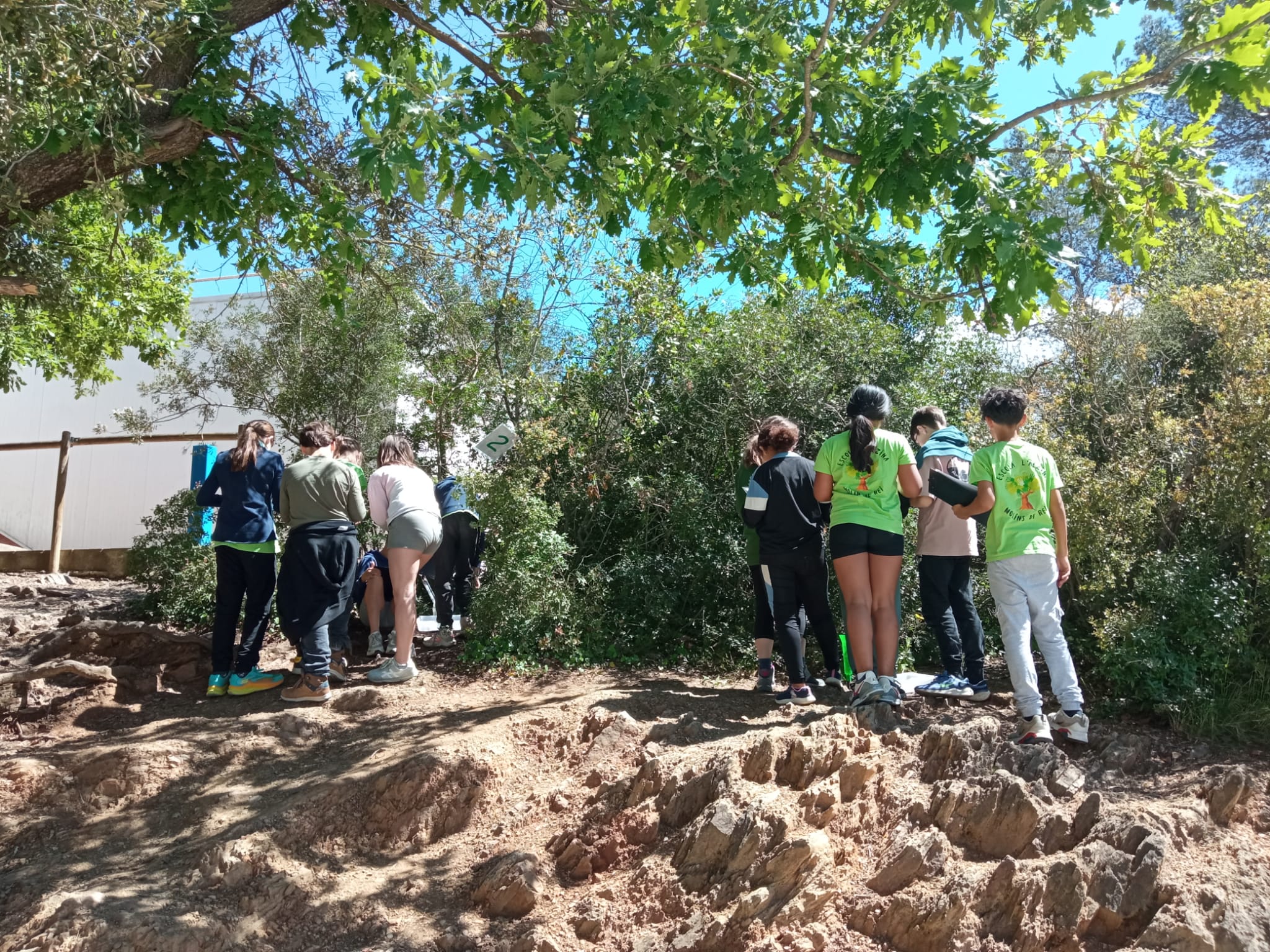 WhatsApp Image 2026-04-14 at 13.55.08