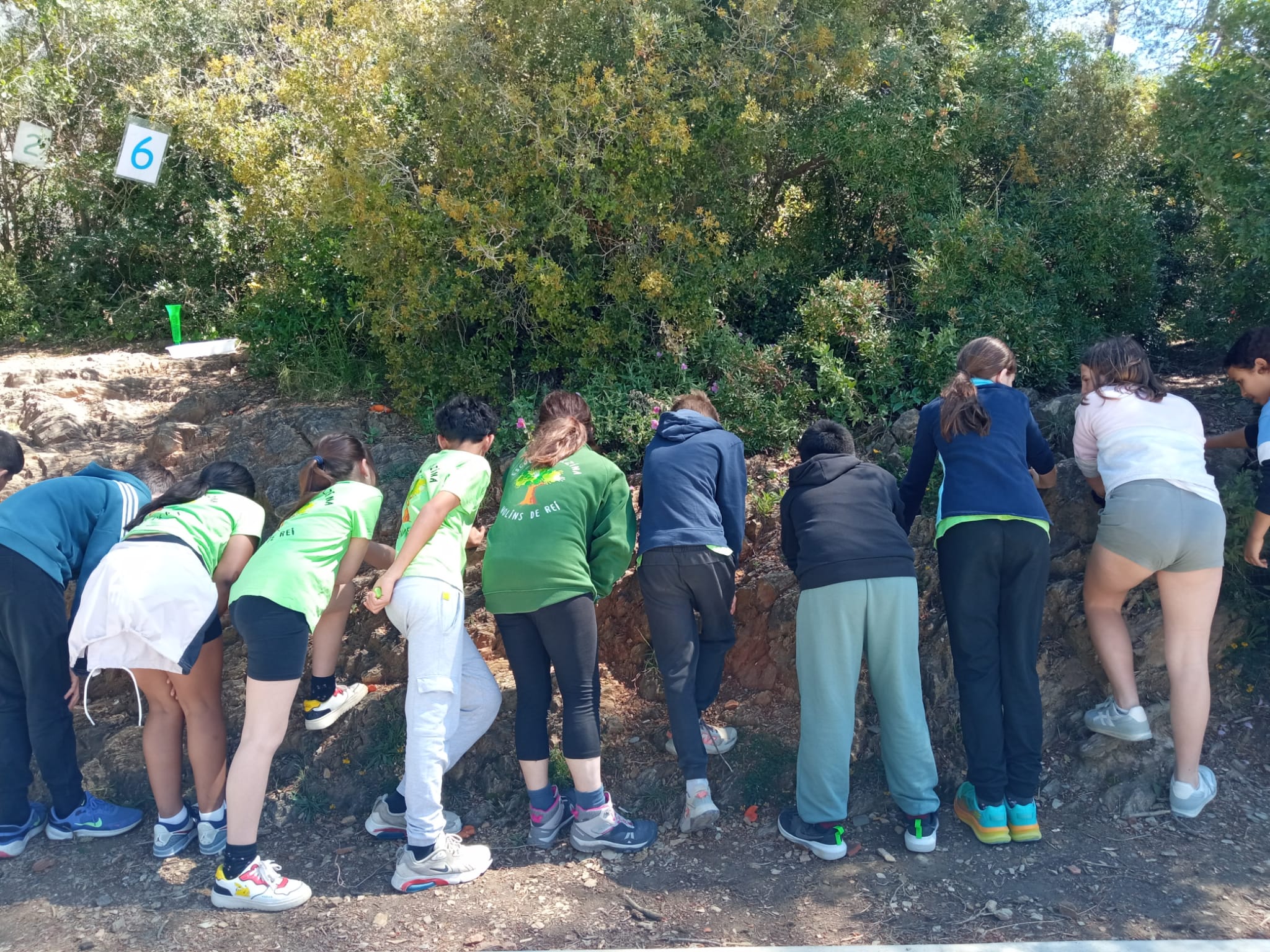 WhatsApp Image 2026-04-14 at 13.55.09 (2)