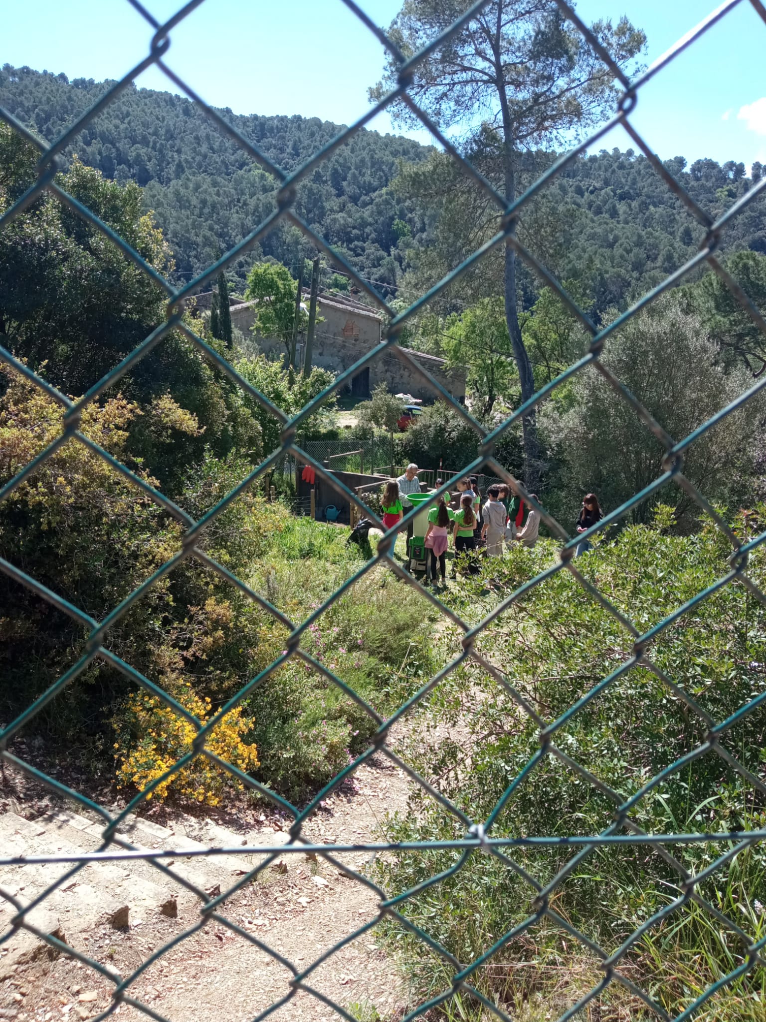 WhatsApp Image 2026-04-14 at 13.55.09