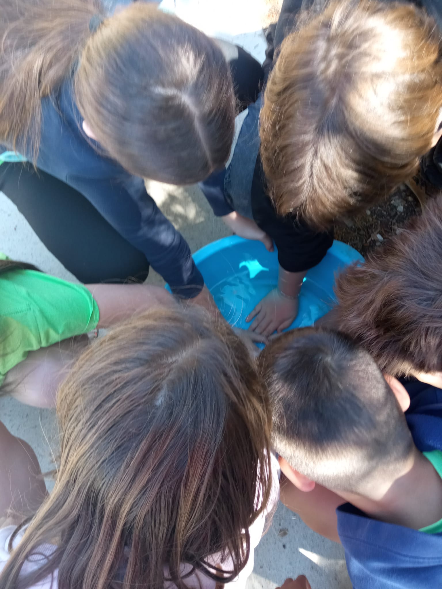 WhatsApp Image 2026-04-14 at 13.55.10 (1)