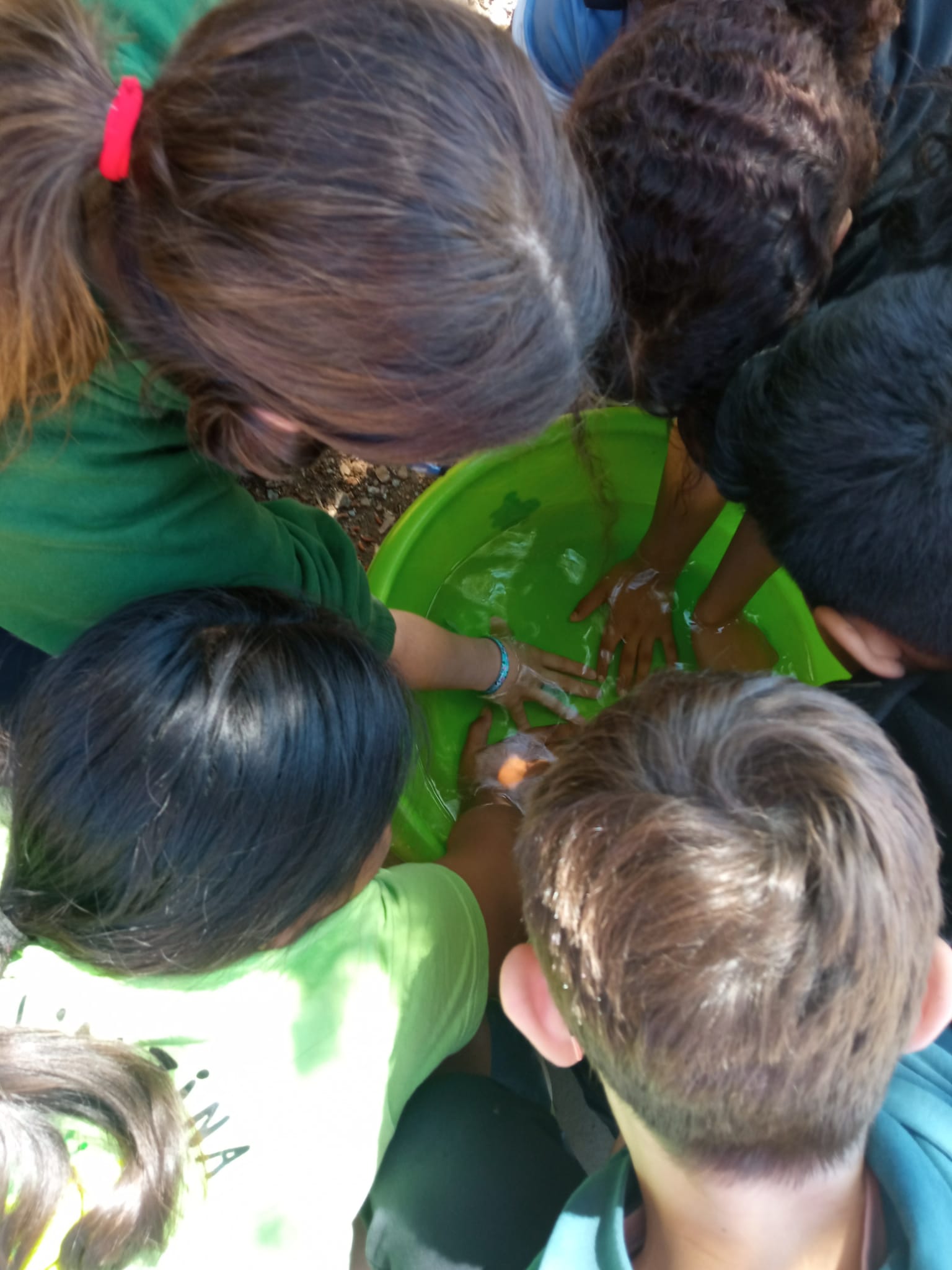 WhatsApp Image 2026-04-14 at 13.55.10