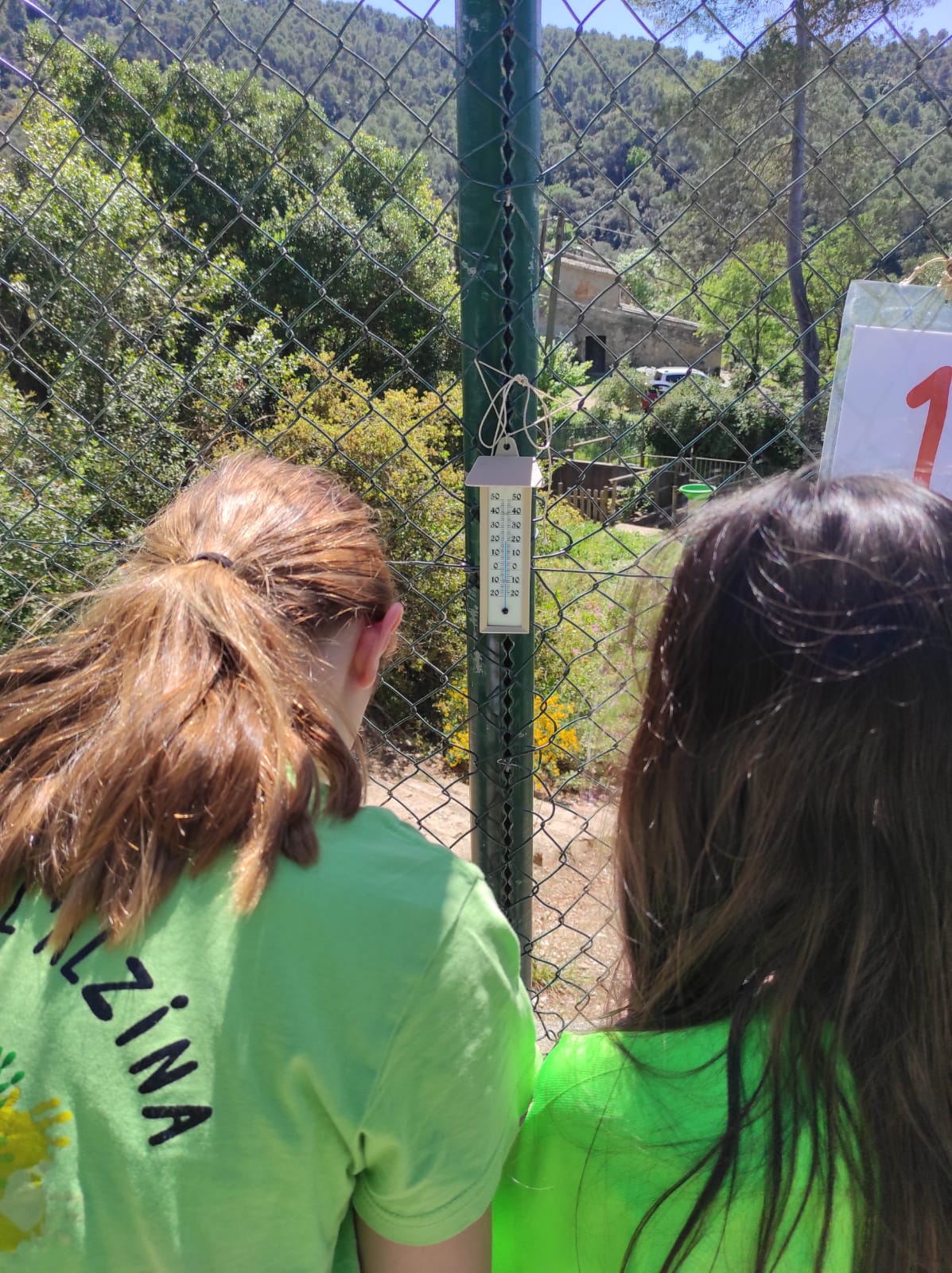 WhatsApp Image 2026-04-14 at 14.54.17 (10)