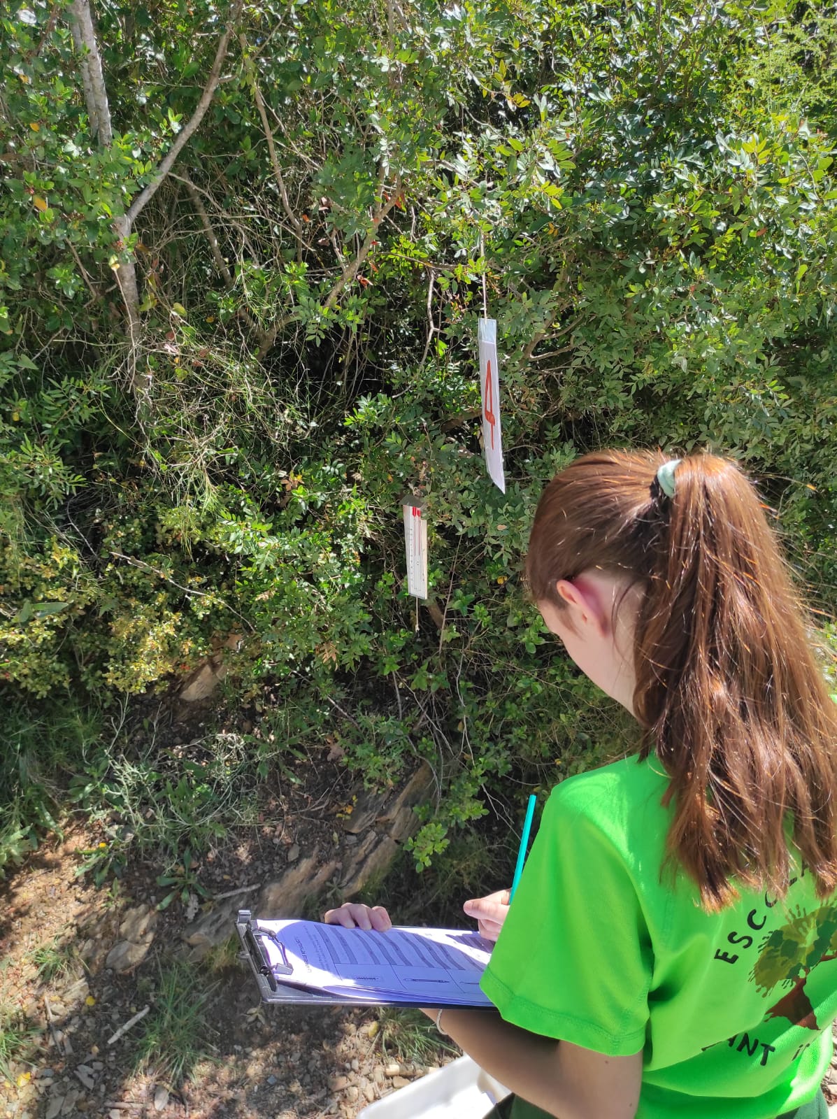 WhatsApp Image 2026-04-14 at 14.54.17 (4)