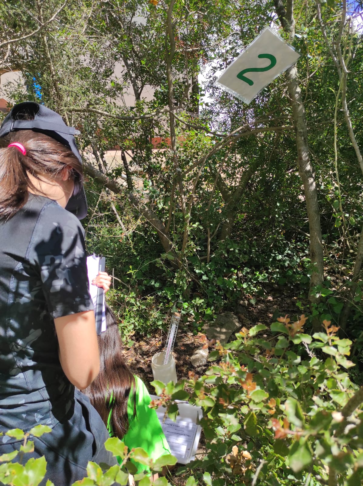 WhatsApp Image 2026-04-14 at 14.54.17 (5)