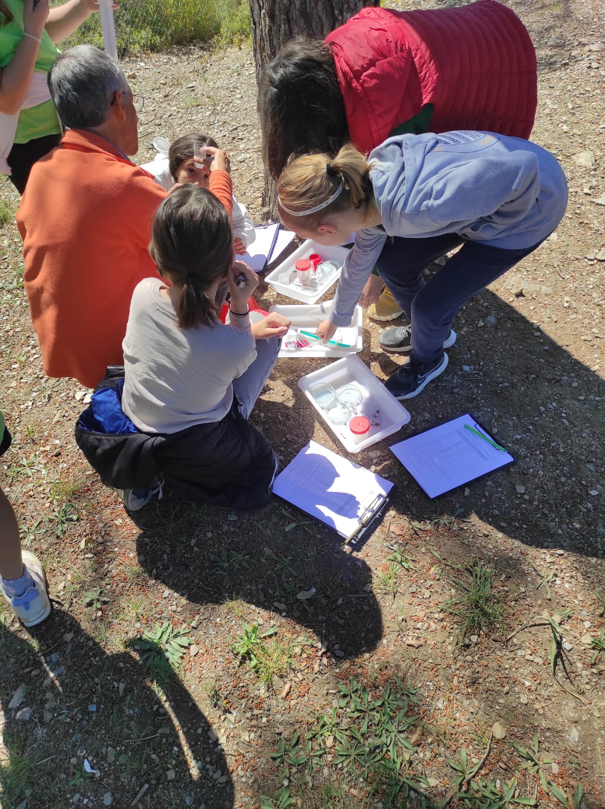 WhatsApp Image 2026-04-14 at 14.54.51 (4)