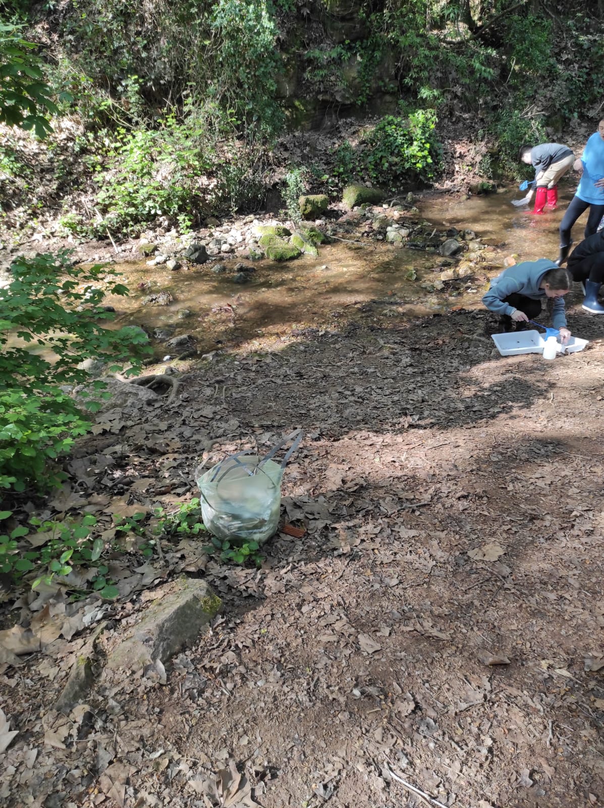 WhatsApp Image 2026-04-15 at 12.46.15 (11)