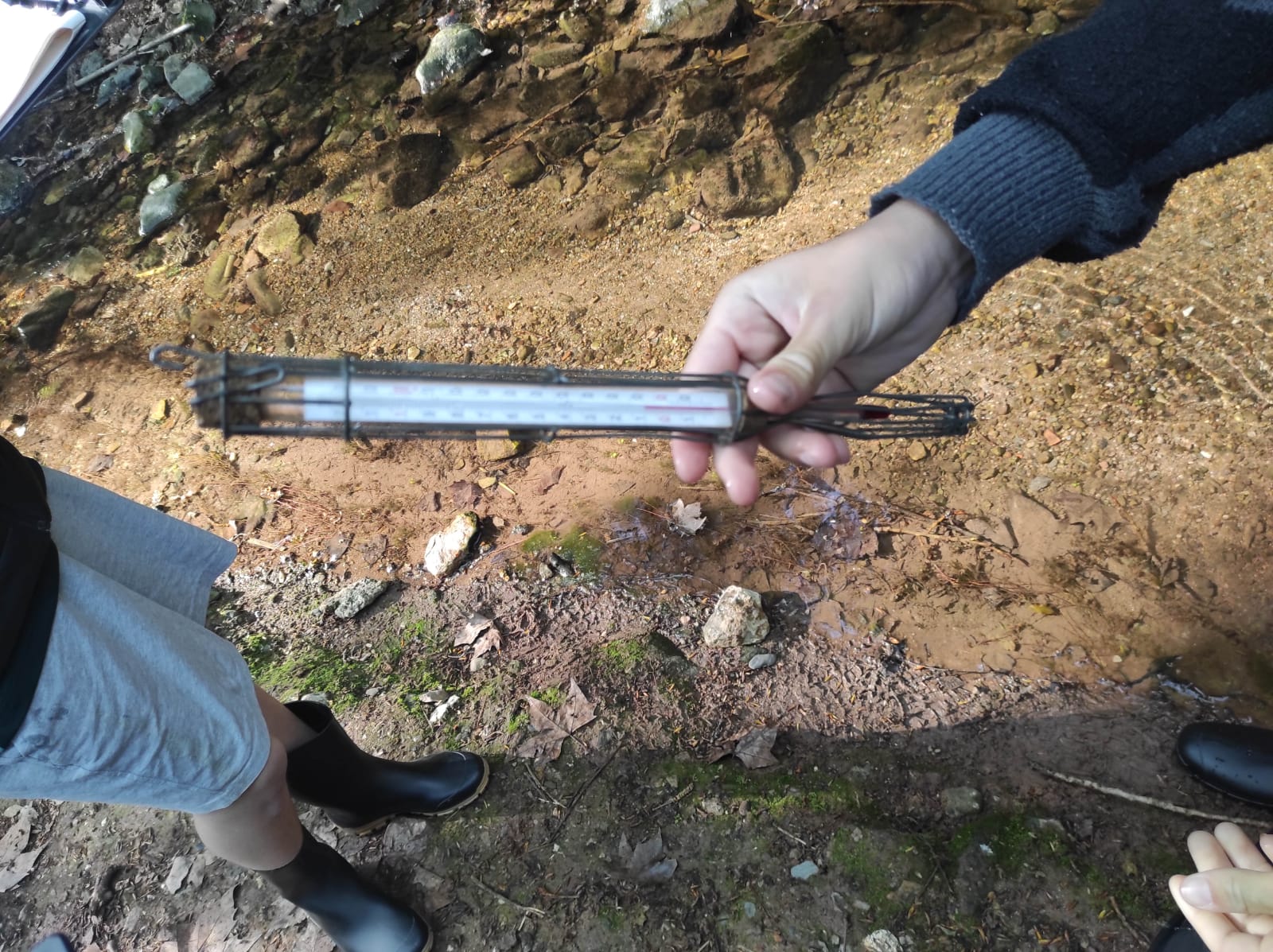 WhatsApp Image 2026-04-15 at 12.46.15 (17)