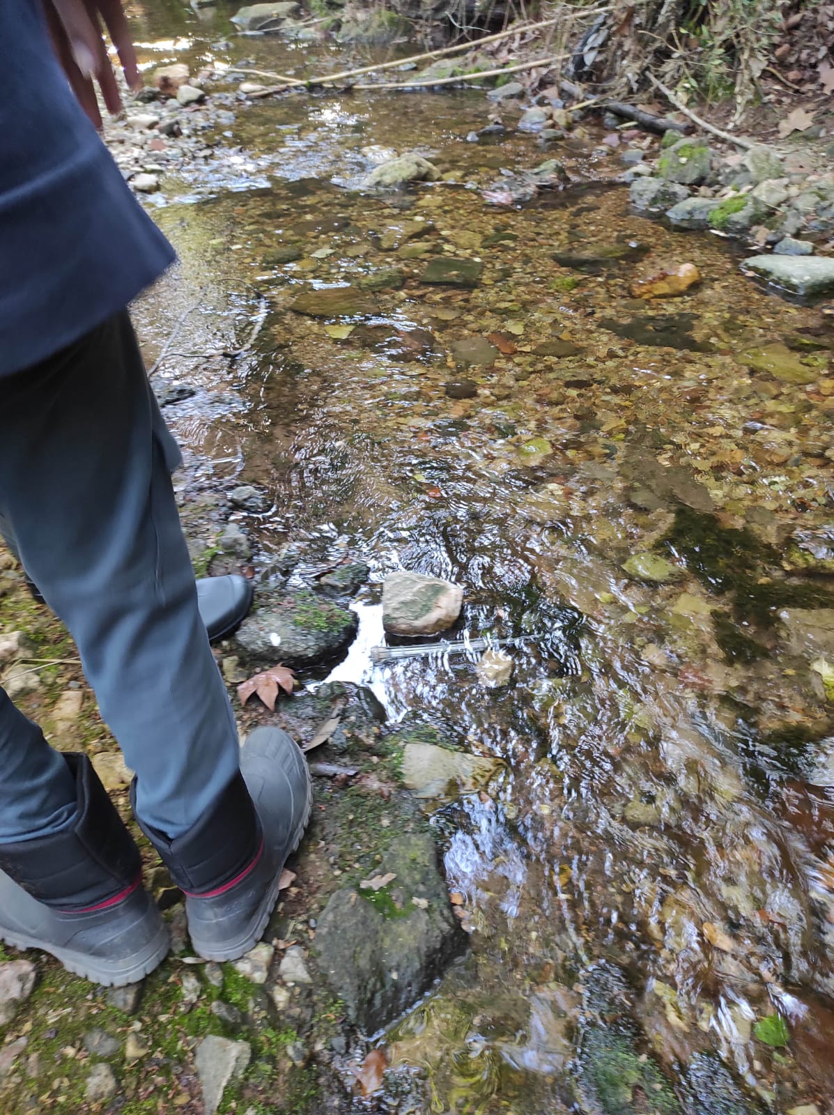 WhatsApp Image 2026-04-15 at 12.46.15 (19)