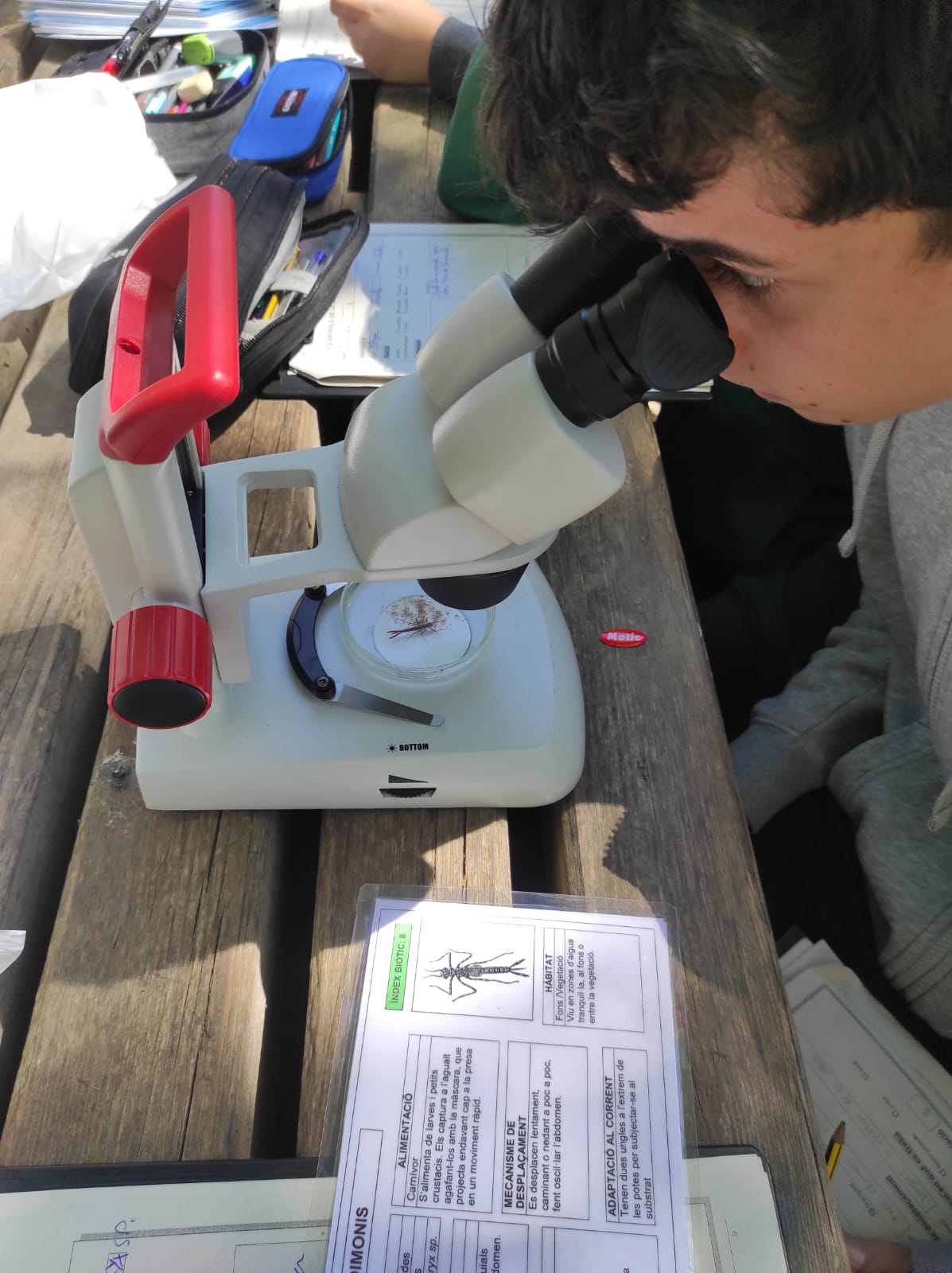 WhatsApp Image 2026-04-15 at 12.46.15 (2)