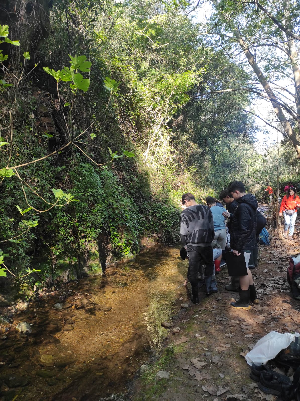 WhatsApp Image 2026-04-15 at 12.46.15 (21)