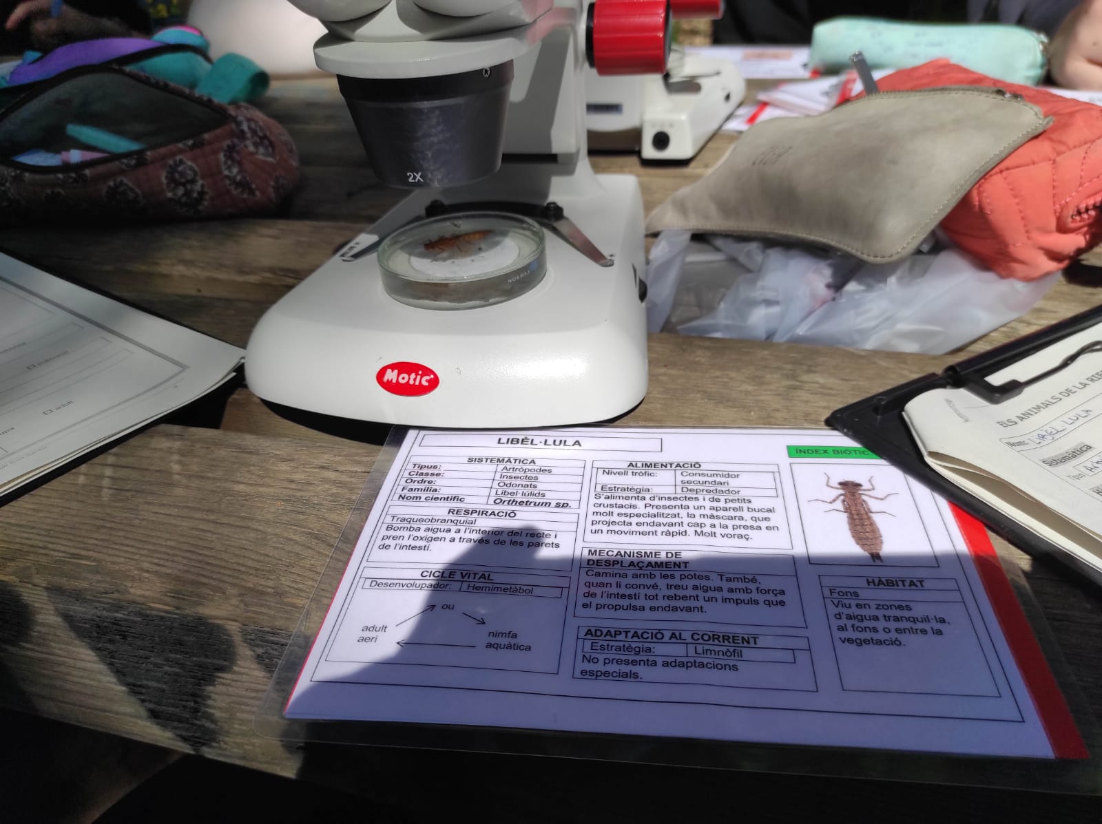 WhatsApp Image 2026-04-15 at 12.46.15 (4)