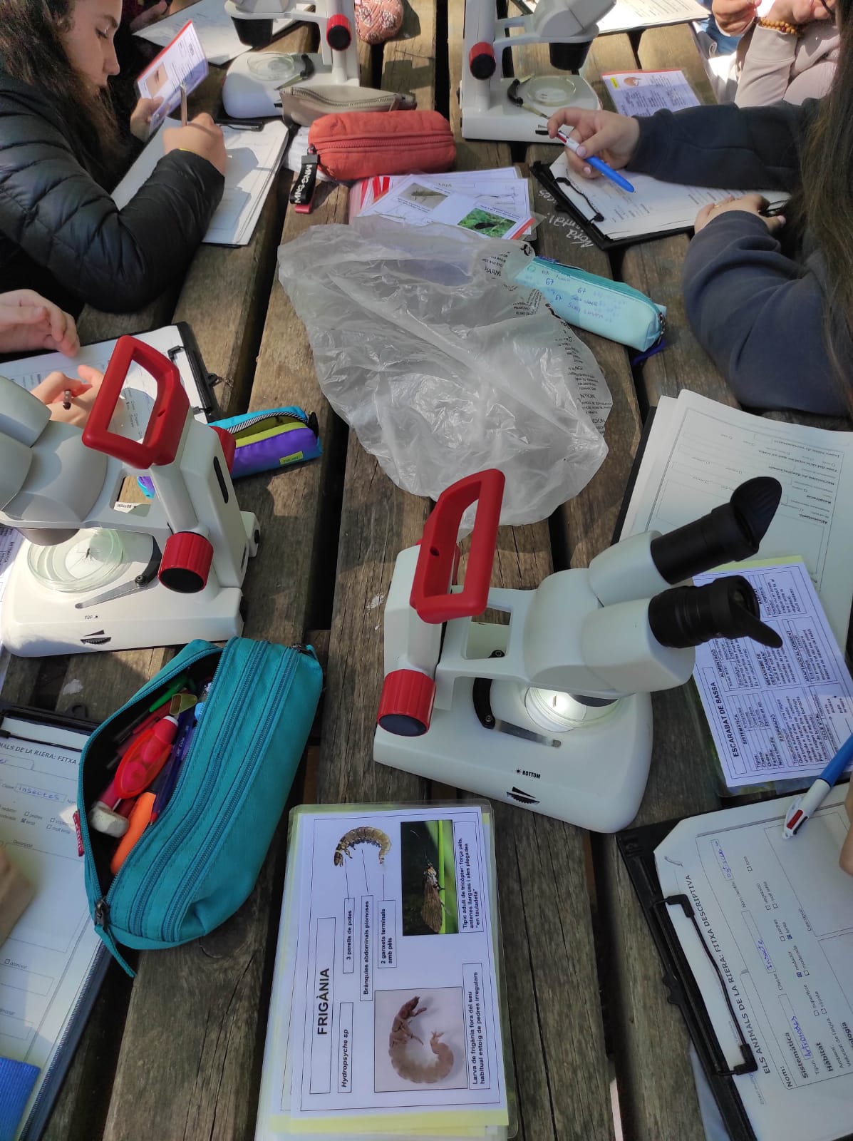 WhatsApp Image 2026-04-15 at 12.46.15 (6)