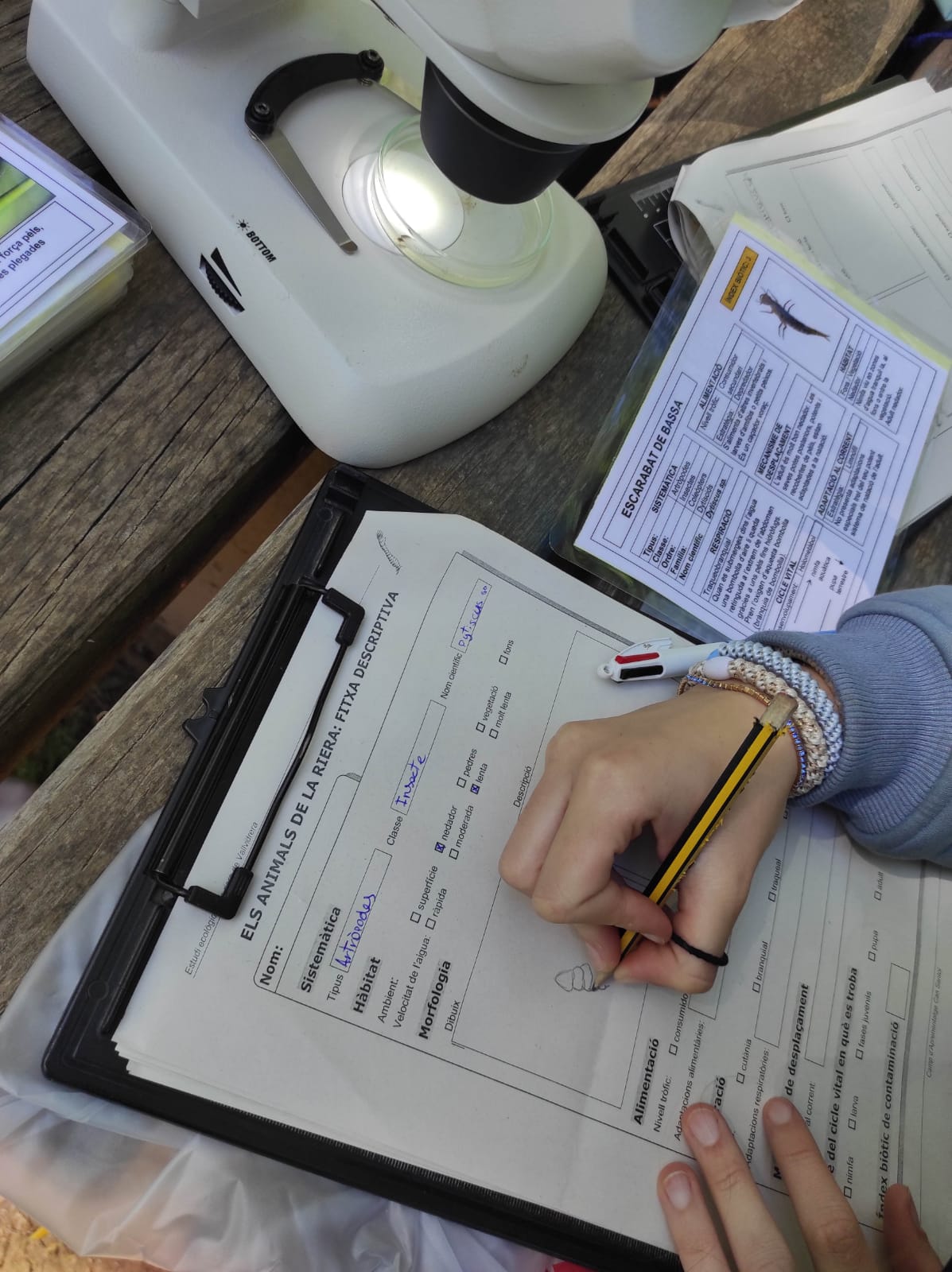 WhatsApp Image 2026-04-15 at 12.46.15 (7)