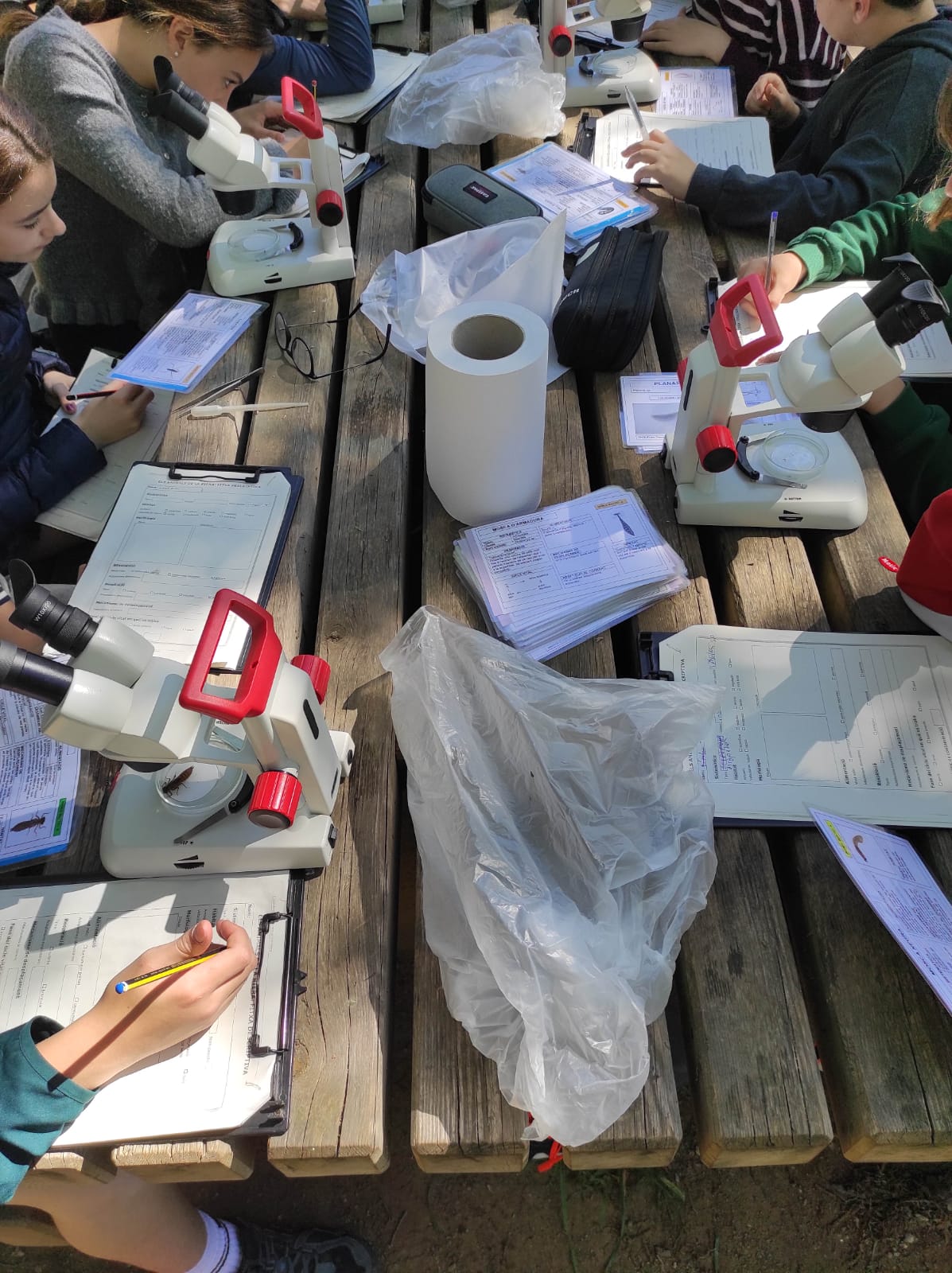 WhatsApp Image 2026-04-15 at 12.46.15 (8)