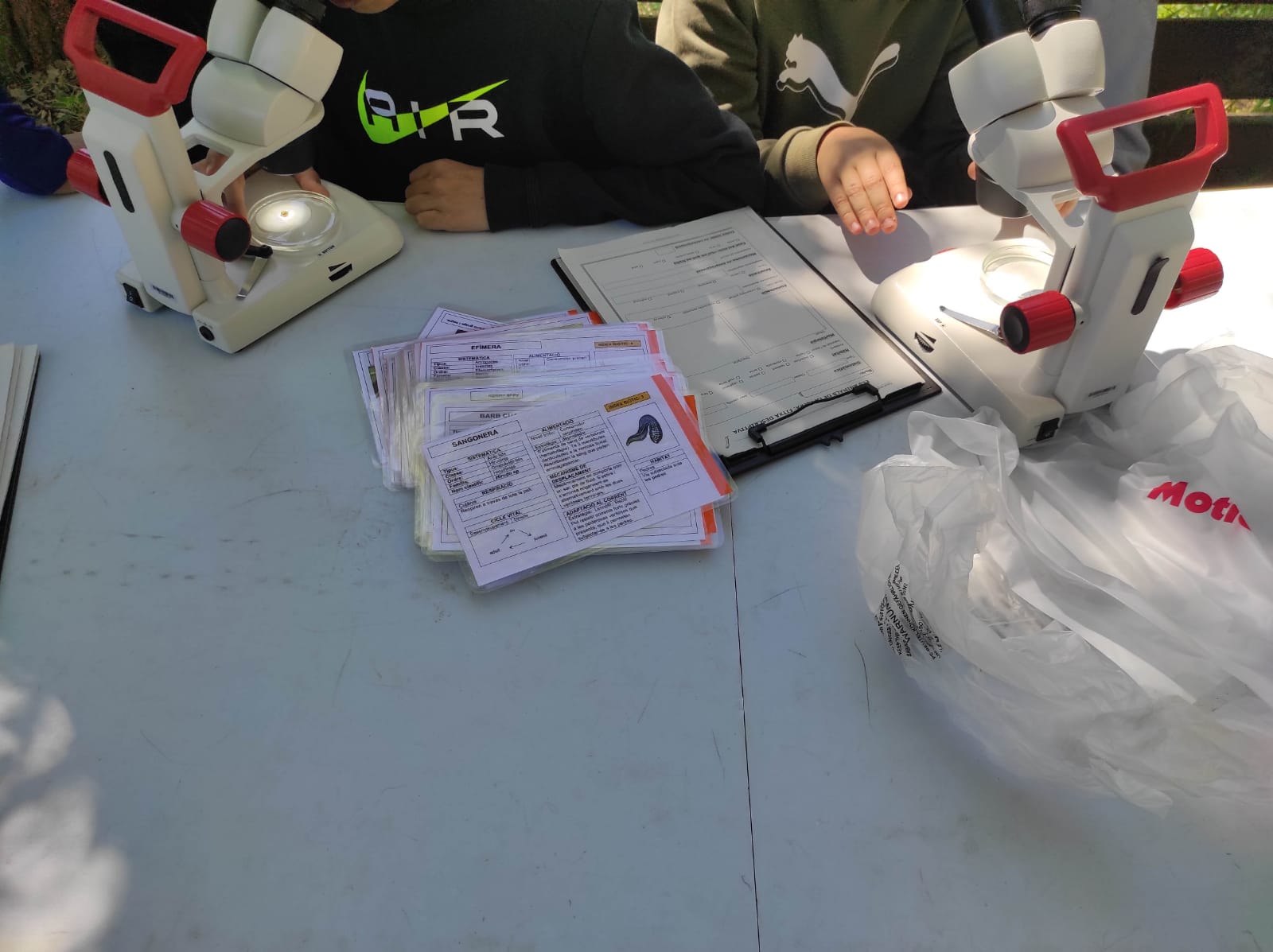 WhatsApp Image 2026-04-15 at 12.46.15 (9)