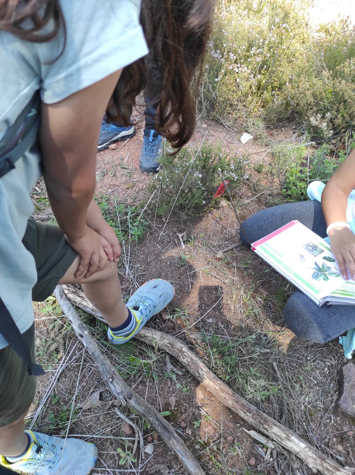 WhatsApp Image 2026-04-17 at 19.27.12 (1)