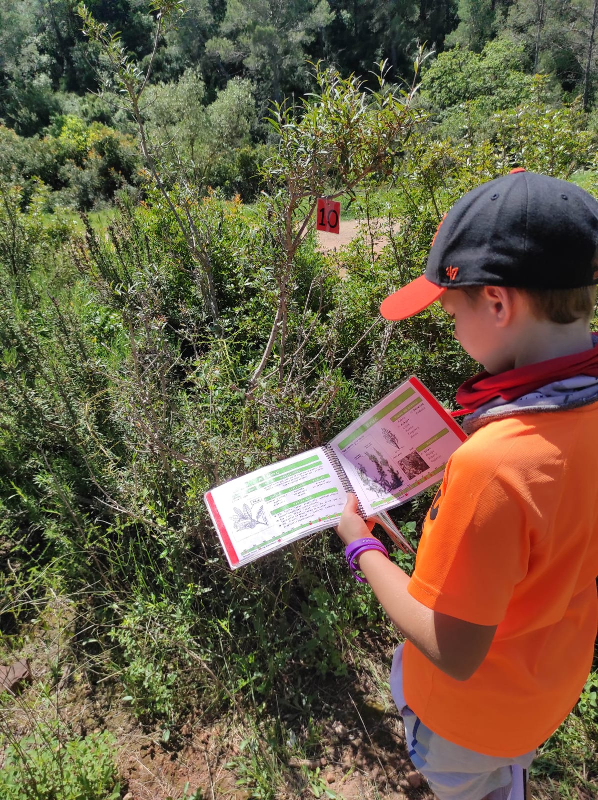 WhatsApp Image 2026-04-17 at 19.27.12