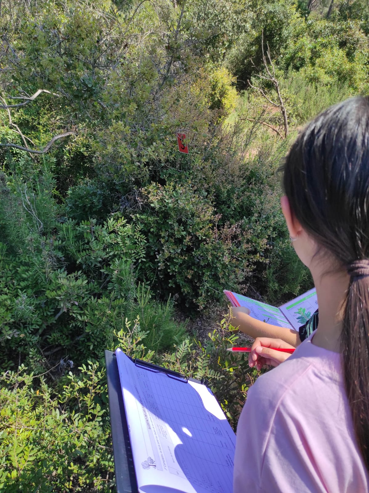 WhatsApp Image 2026-04-17 at 19.27.13