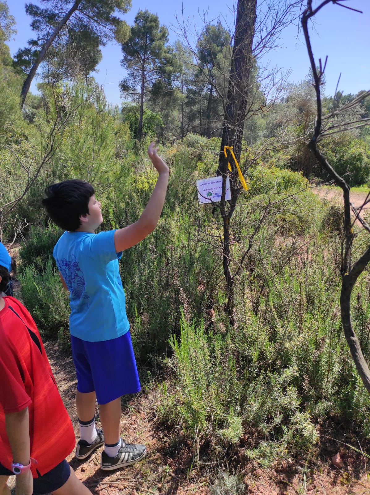 WhatsApp Image 2026-04-17 at 19.27.14