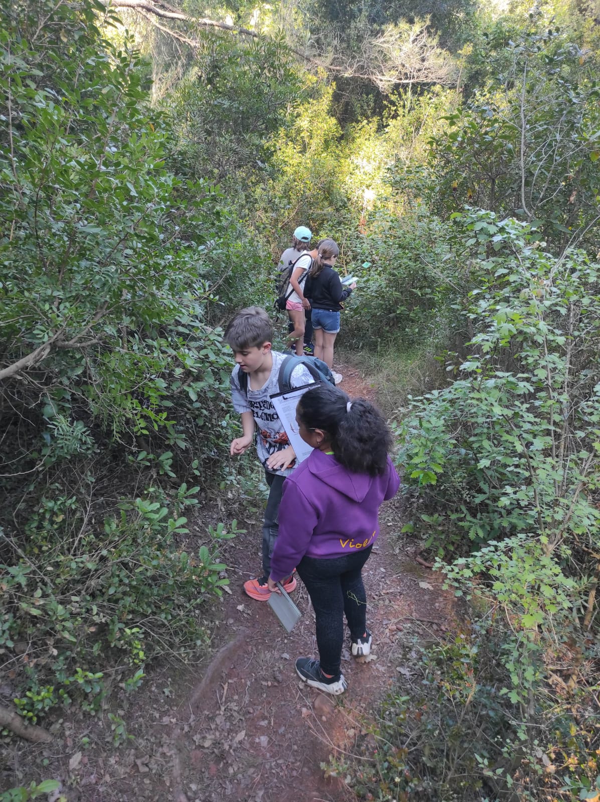 WhatsApp Image 2026-04-17 at 19.27.15