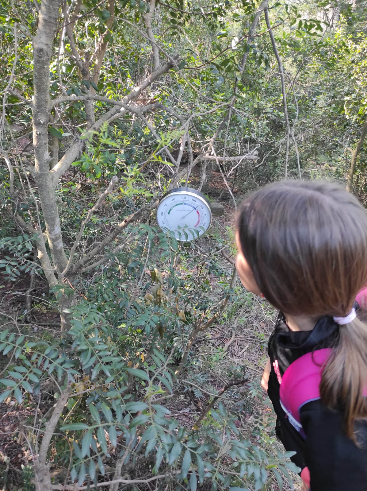 WhatsApp Image 2026-04-17 at 19.27.16 (1)