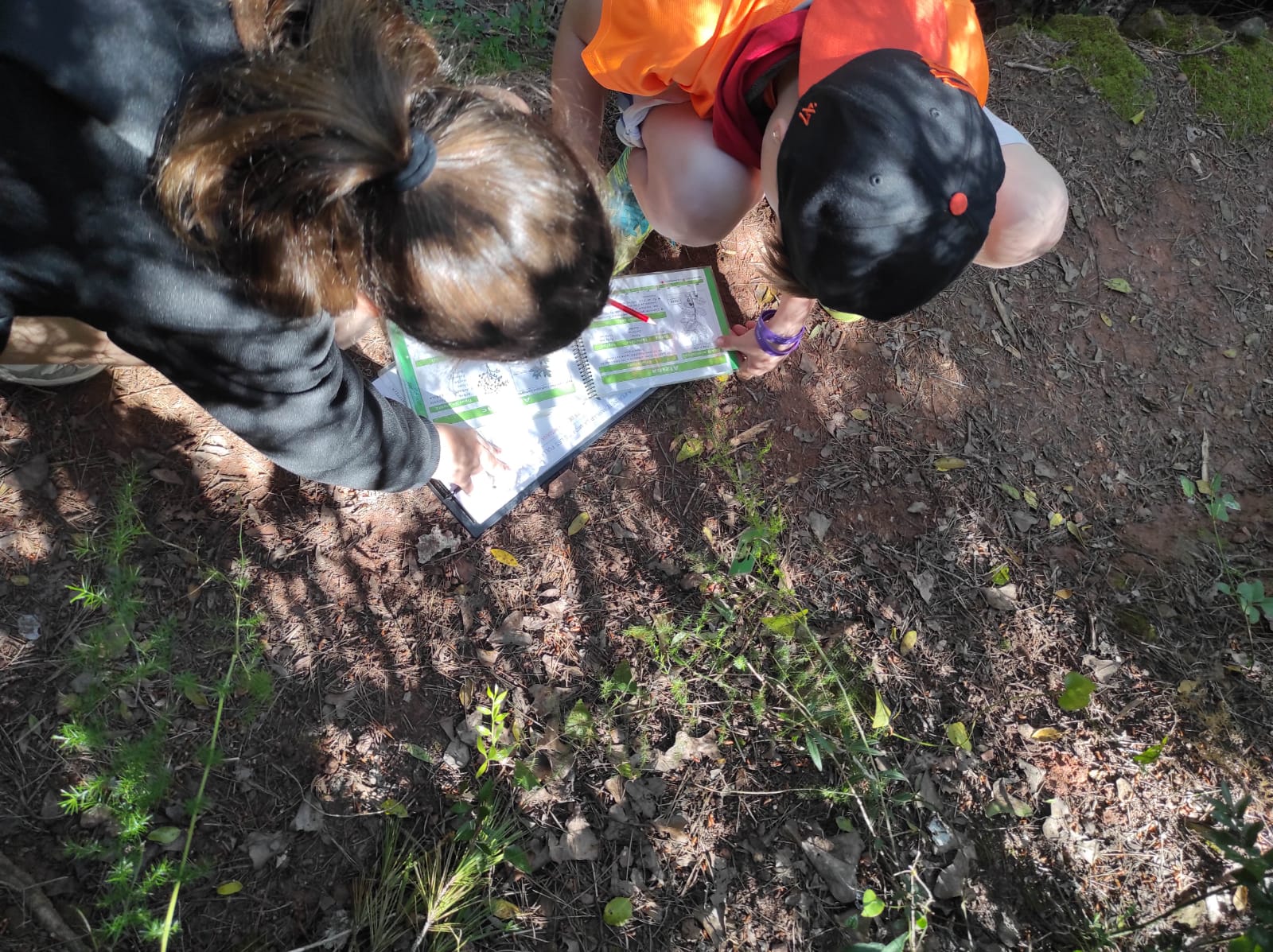 WhatsApp Image 2026-04-17 at 19.27.16