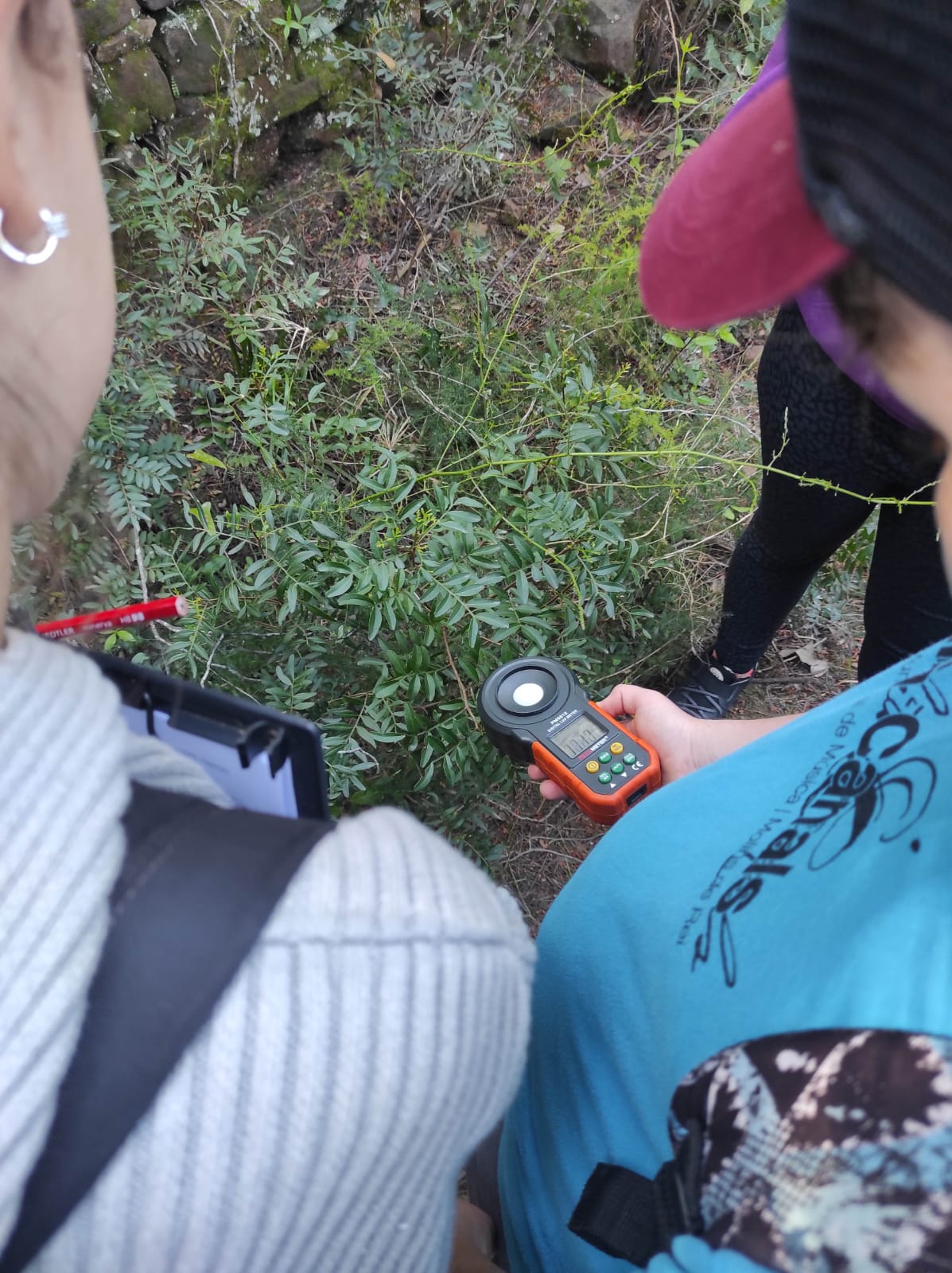 WhatsApp Image 2026-04-17 at 19.27.17