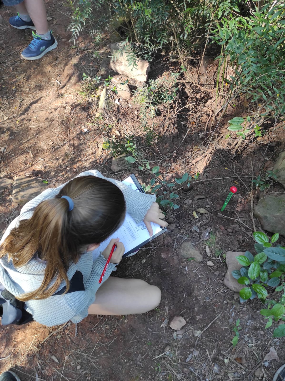 WhatsApp Image 2026-04-17 at 19.27.18