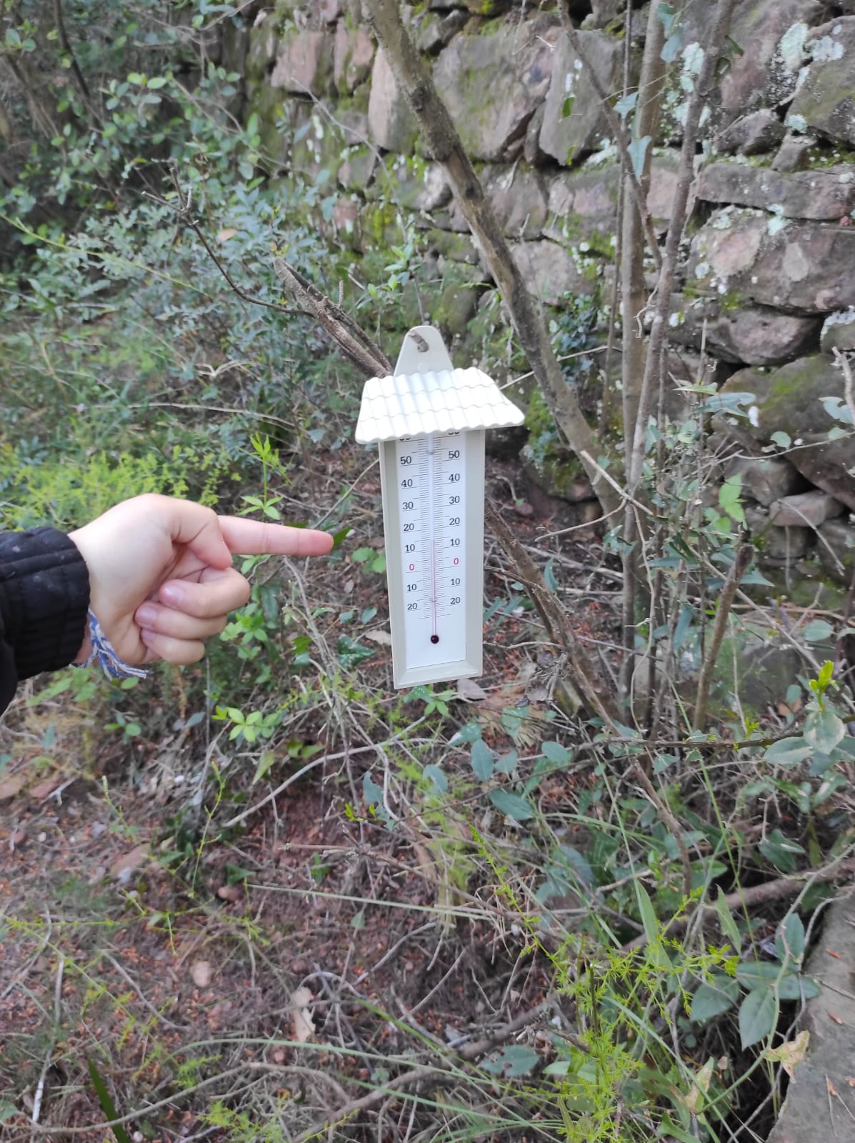 WhatsApp Image 2026-04-17 at 19.27.20 (1)