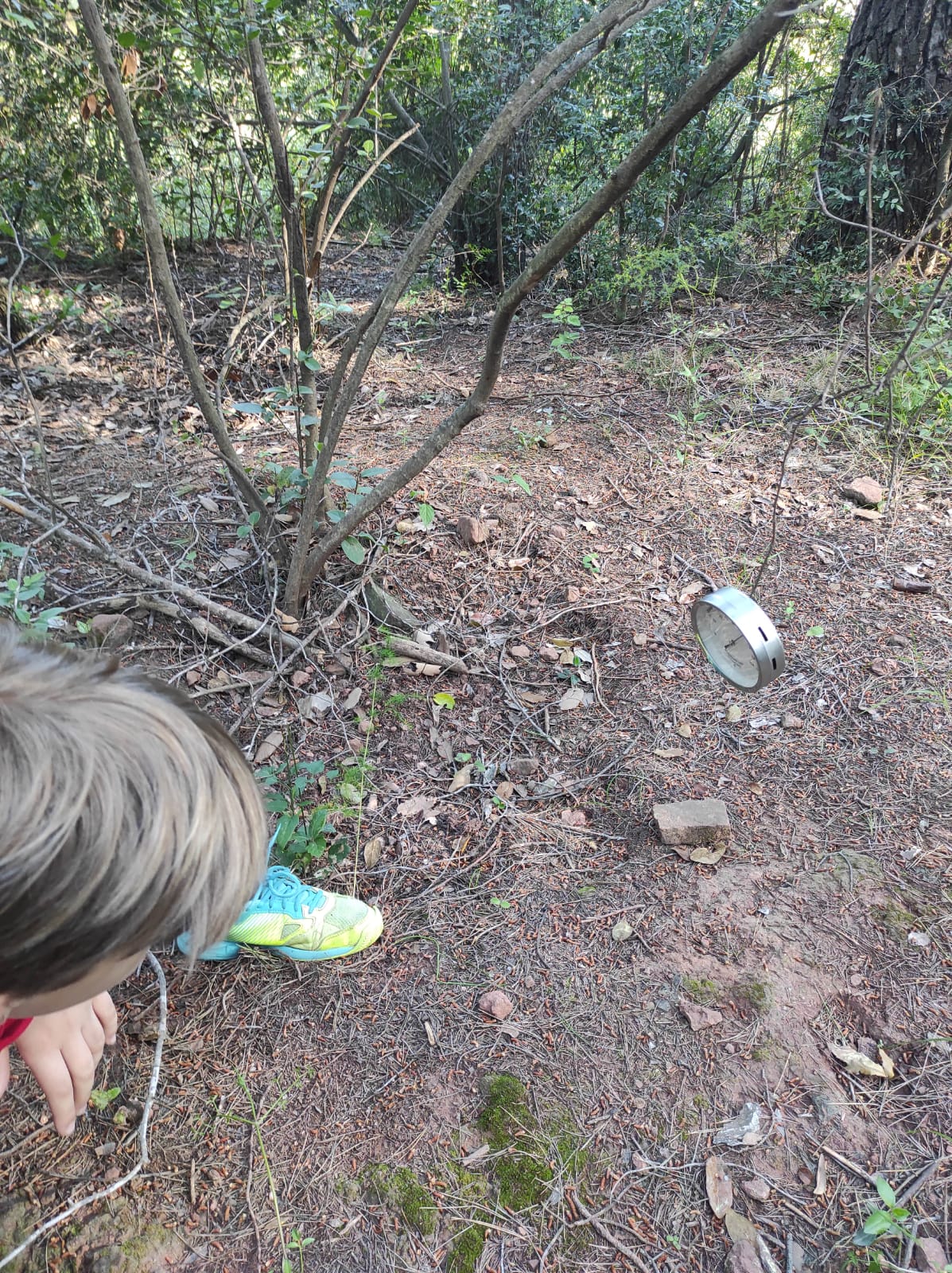 WhatsApp Image 2026-04-17 at 19.27.20