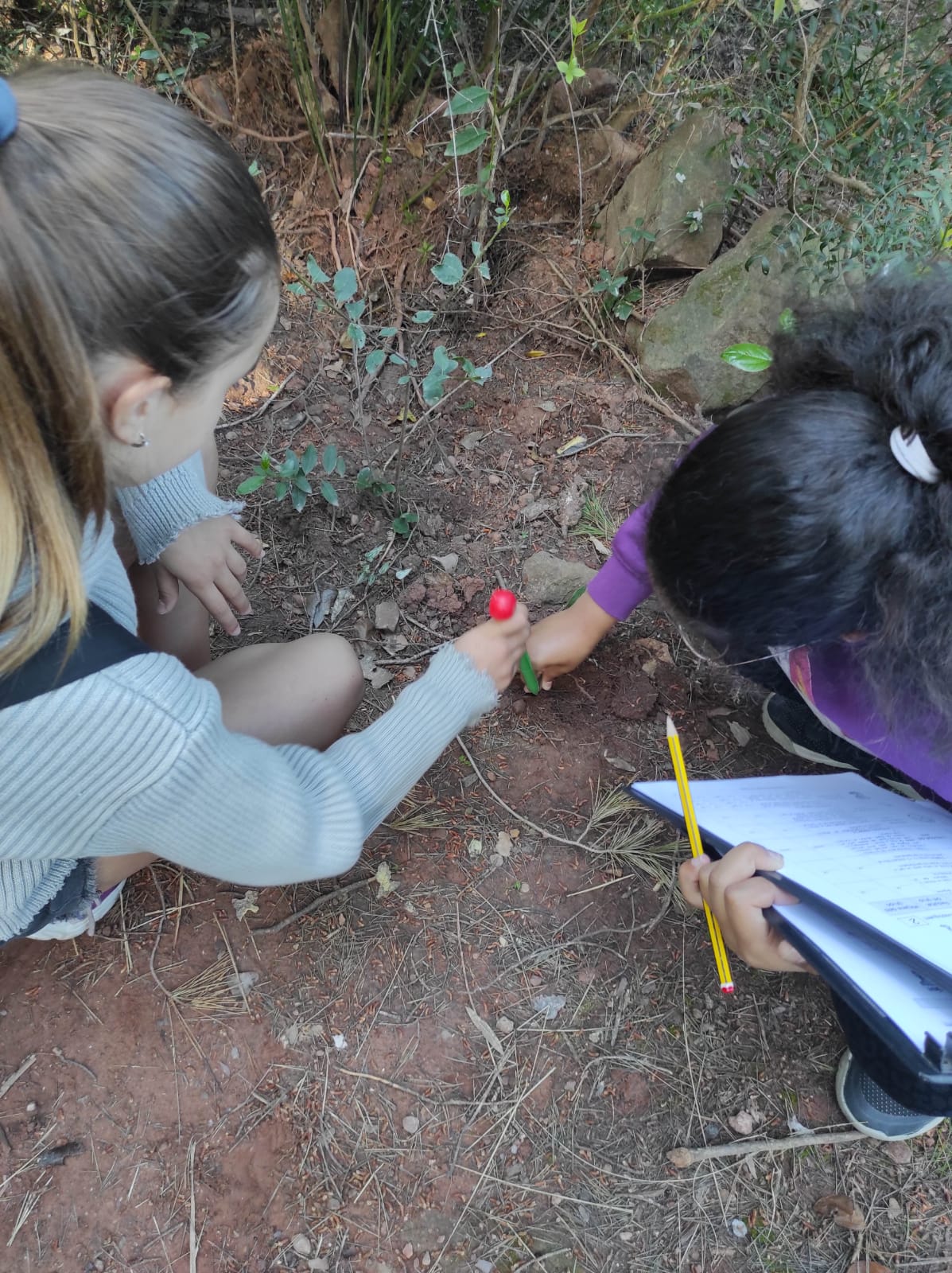 WhatsApp Image 2026-04-17 at 19.27.21