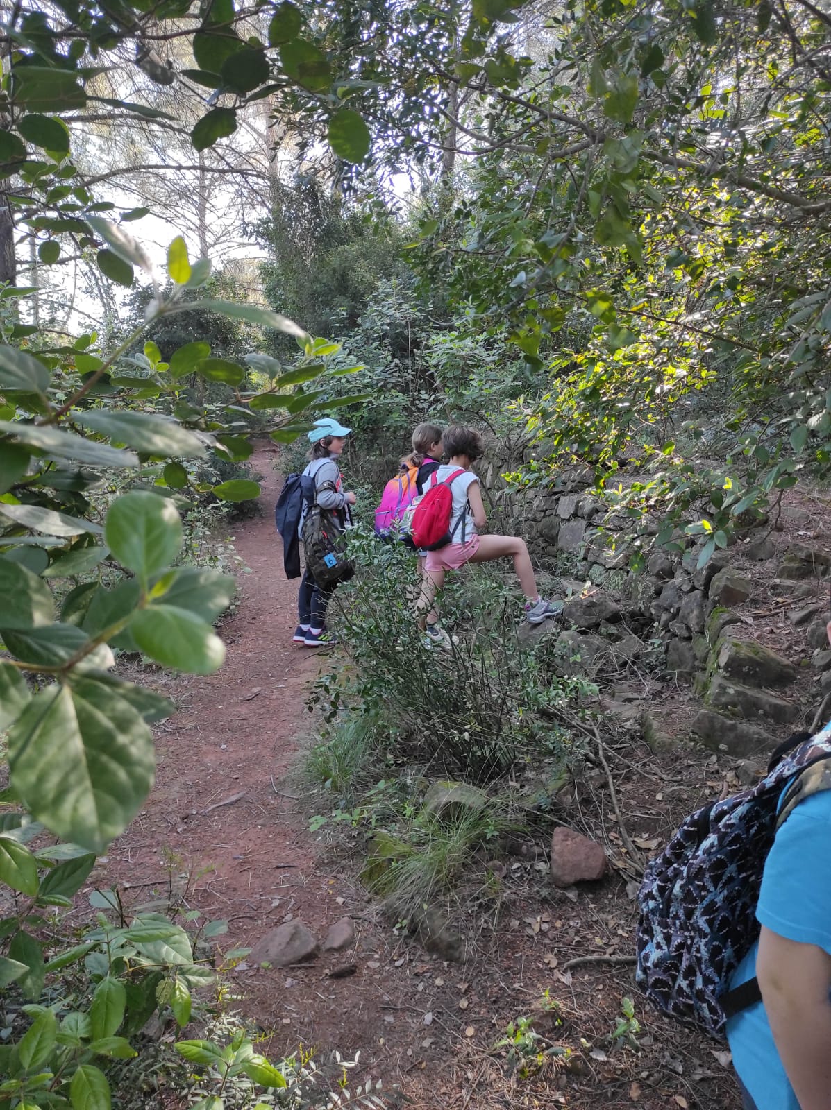 WhatsApp Image 2026-04-17 at 19.27.22