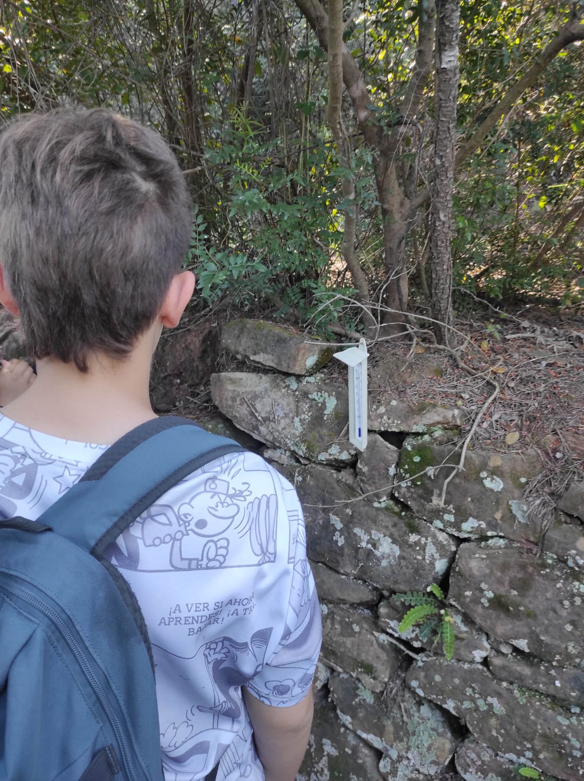 WhatsApp Image 2026-04-17 at 19.27.23