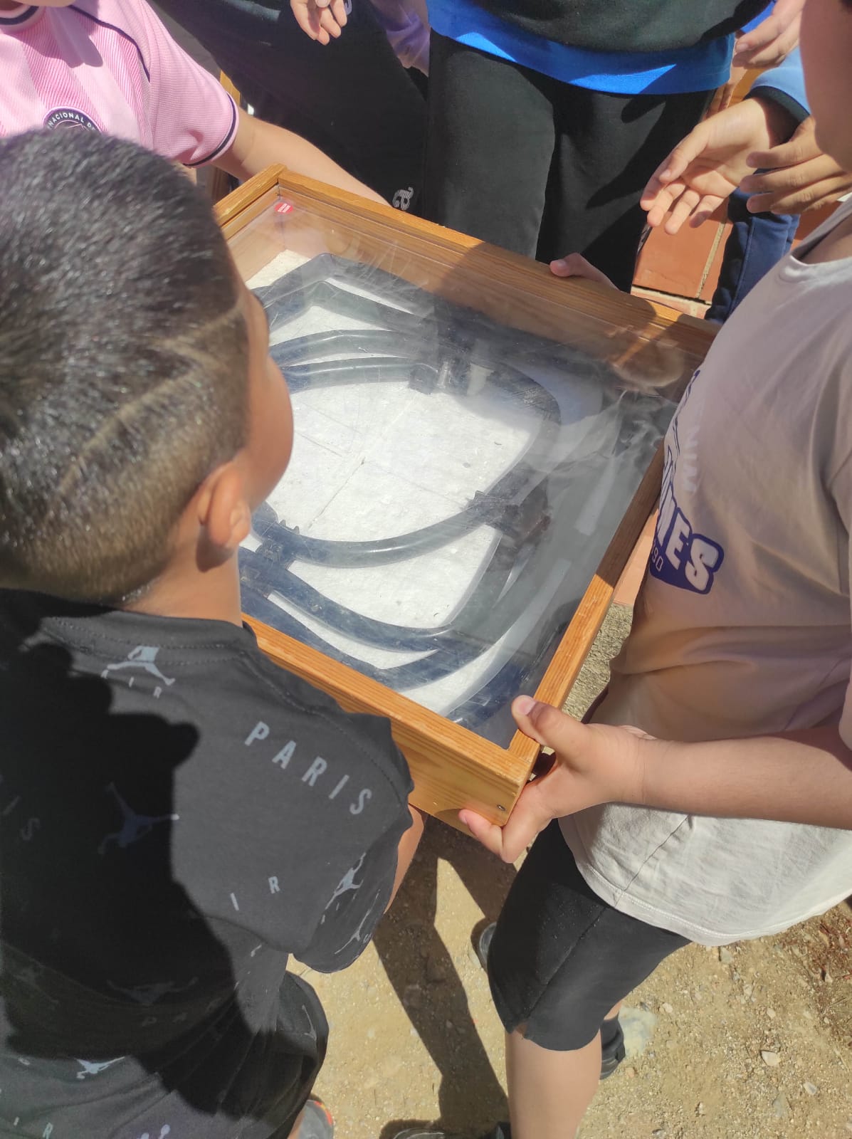 WhatsApp Image 2026-04-20 at 11.32.55 (1)