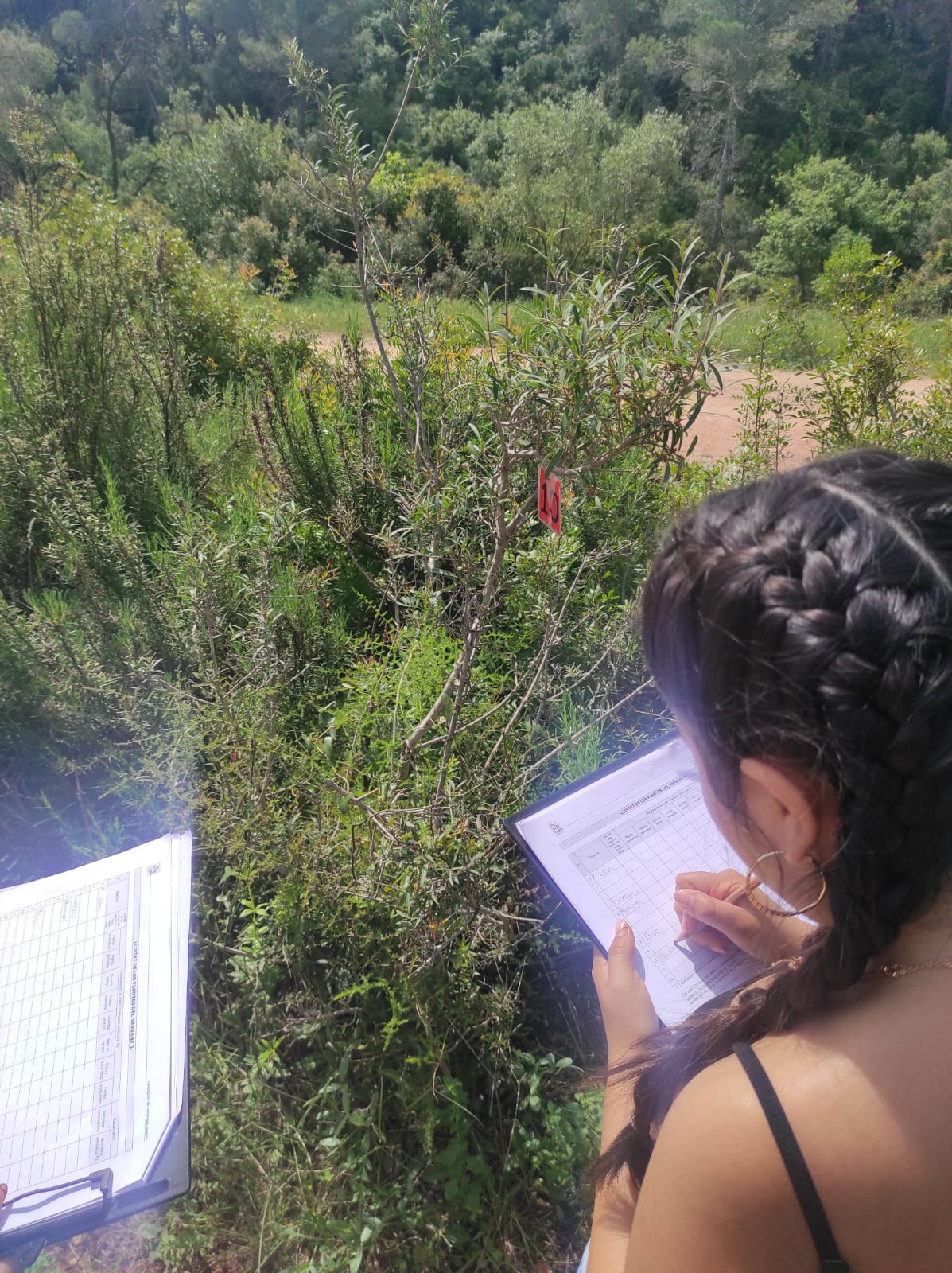 WhatsApp Image 2026-04-23 at 09.55.47