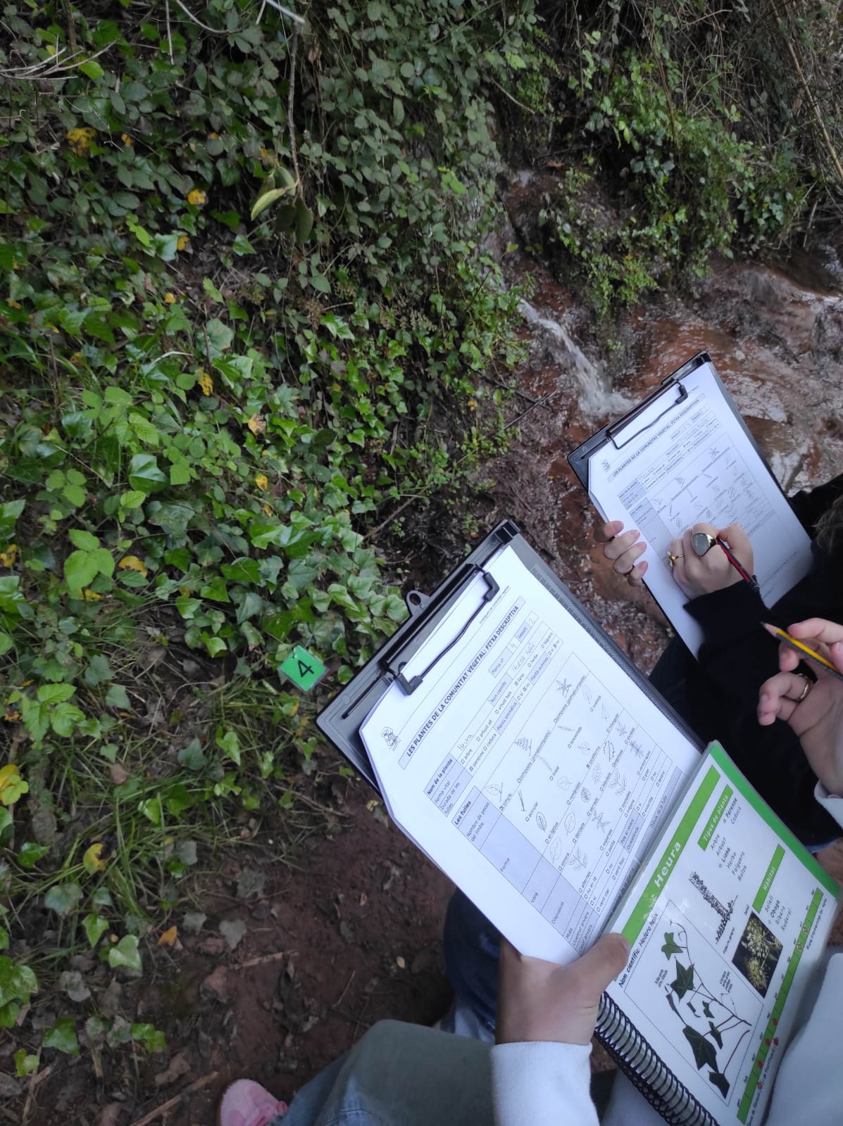 WhatsApp Image 2026-04-23 at 09.55.51 (1)