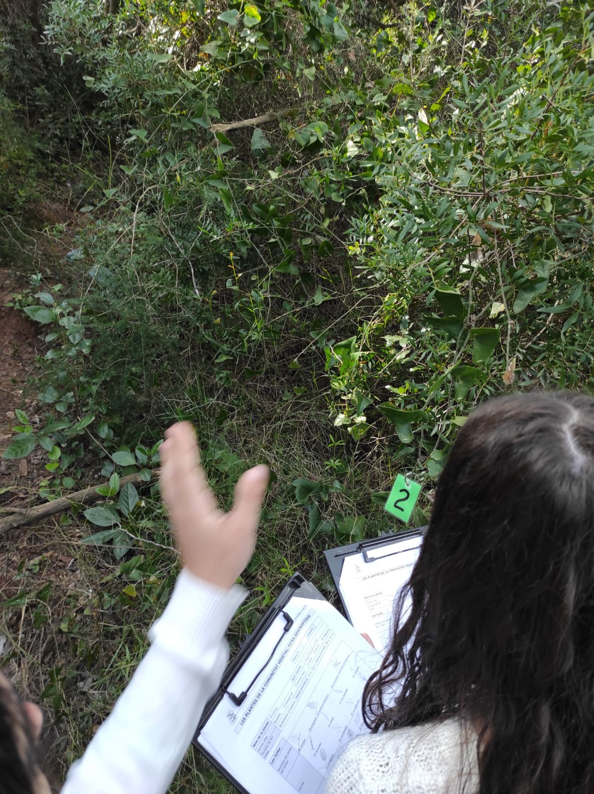 WhatsApp Image 2026-04-23 at 09.55.51